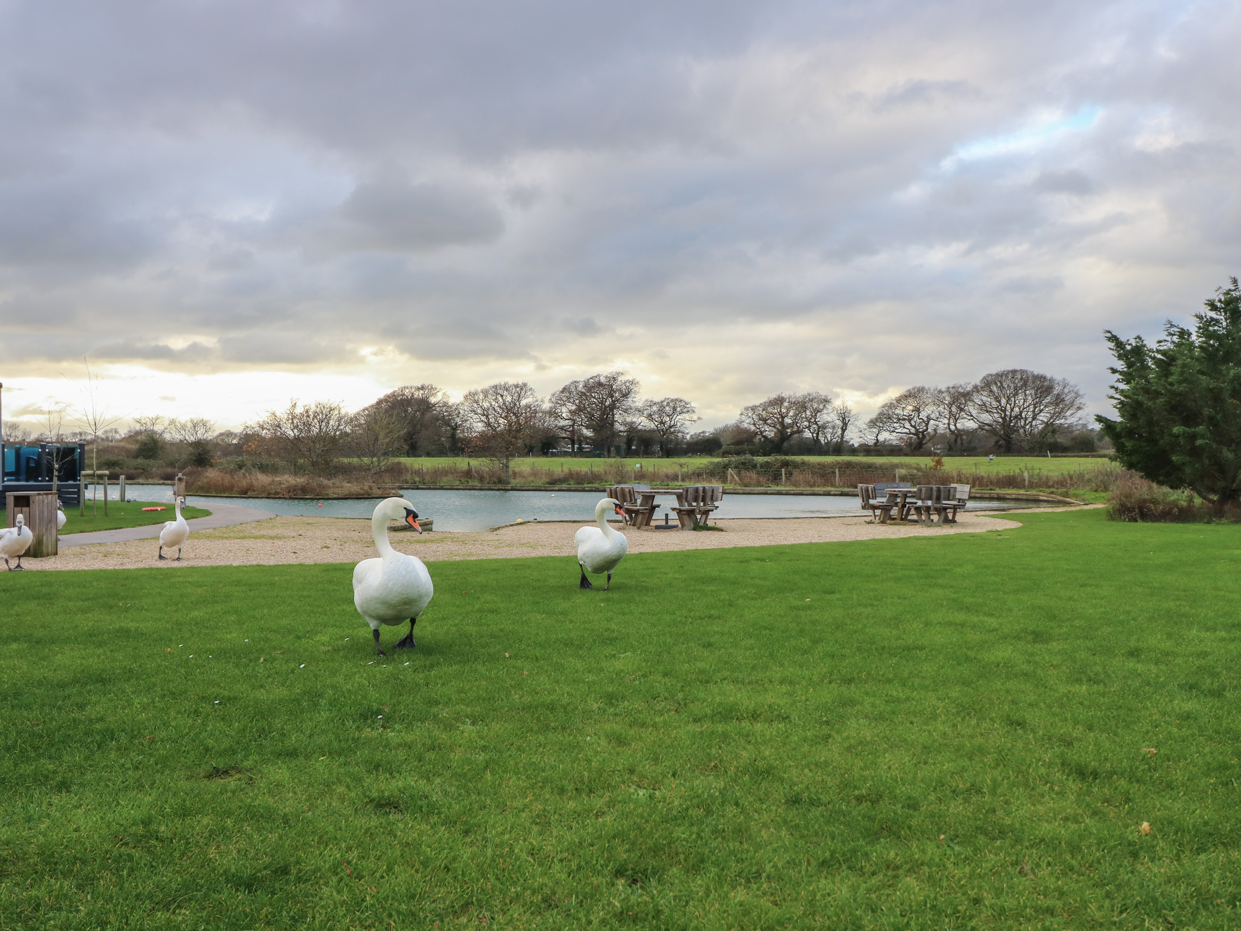 Property image 21 for SC1166336