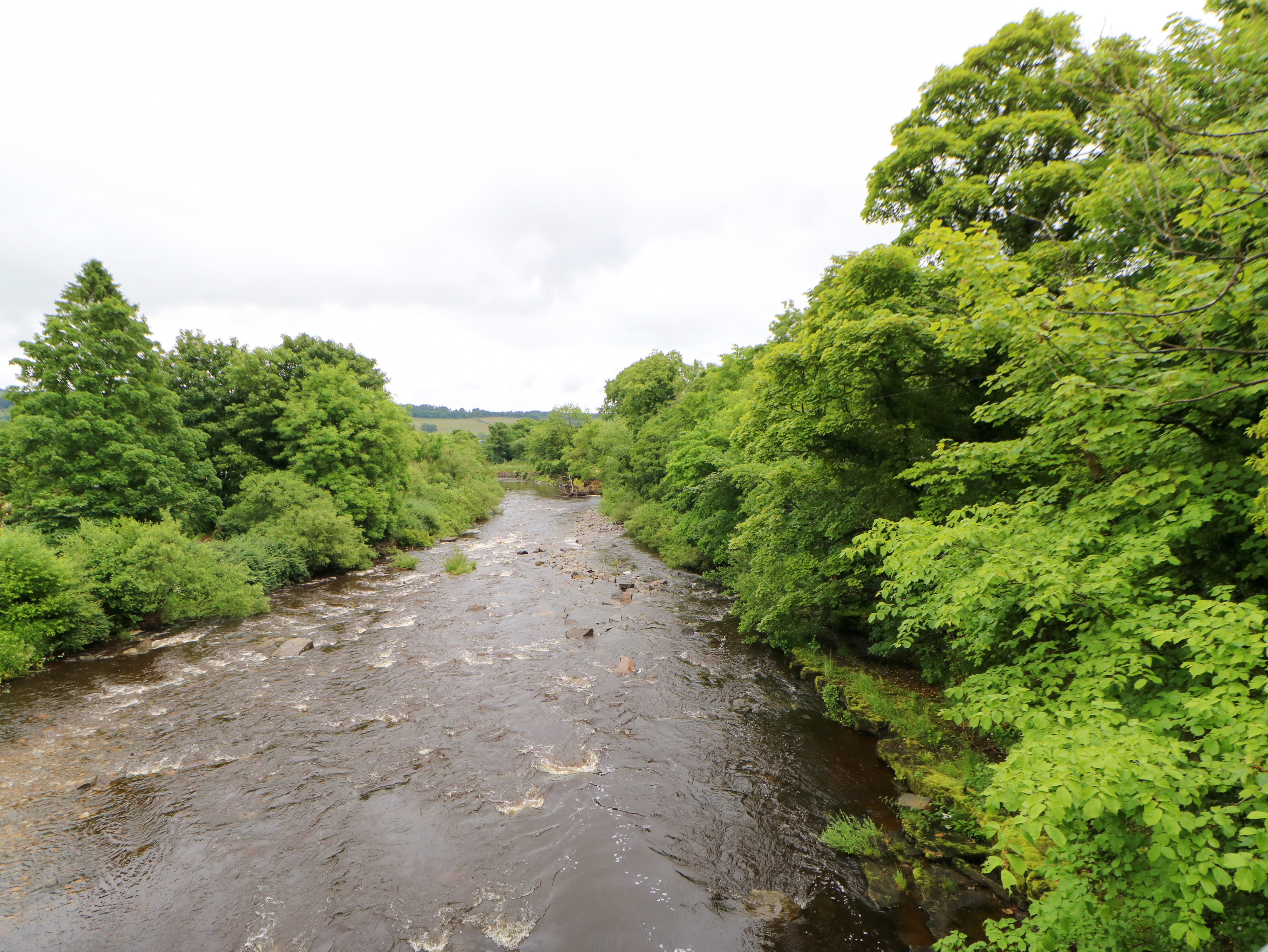 Property image 52 for SC1166351