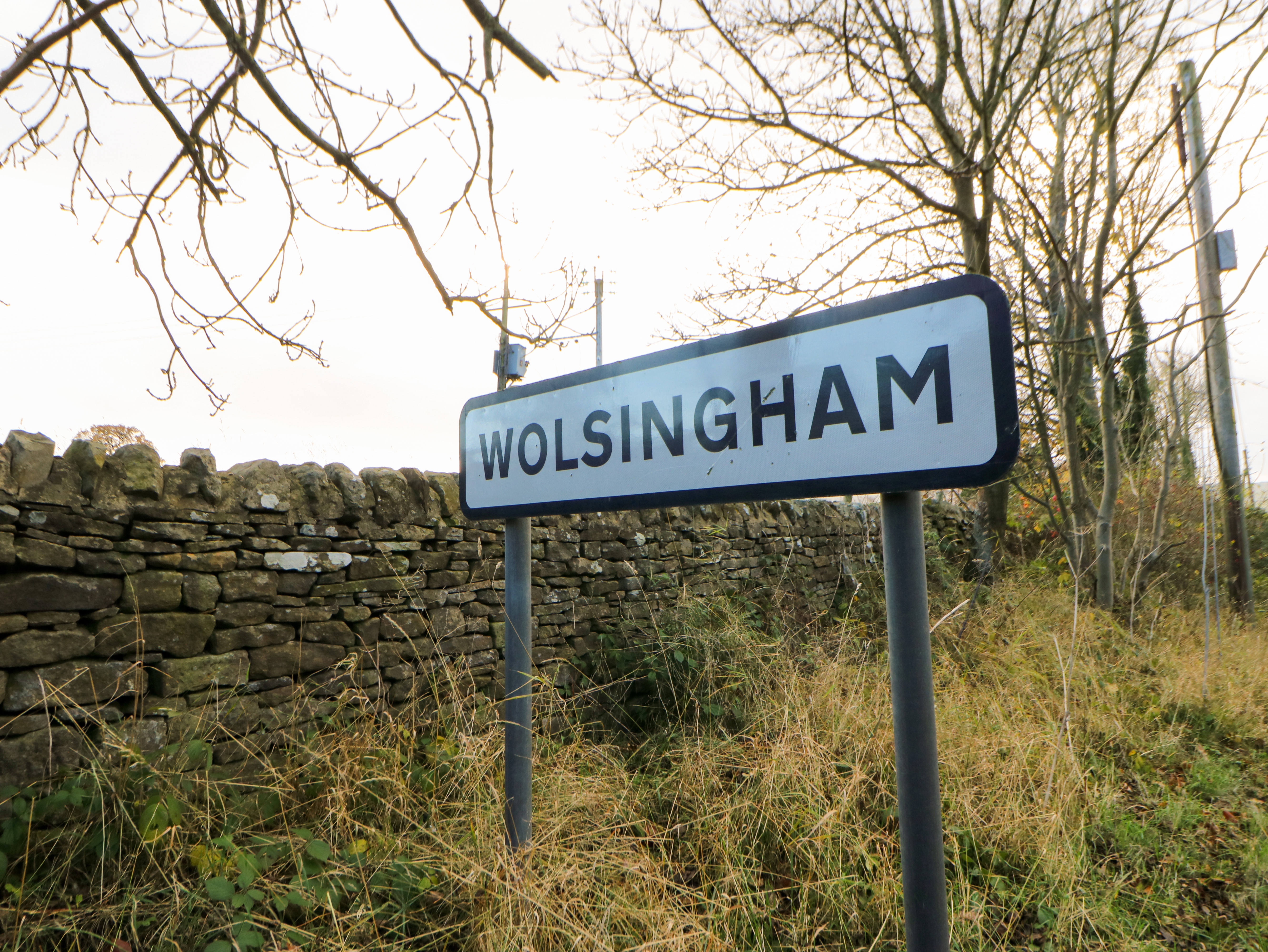 Property image 58 for SC1166351