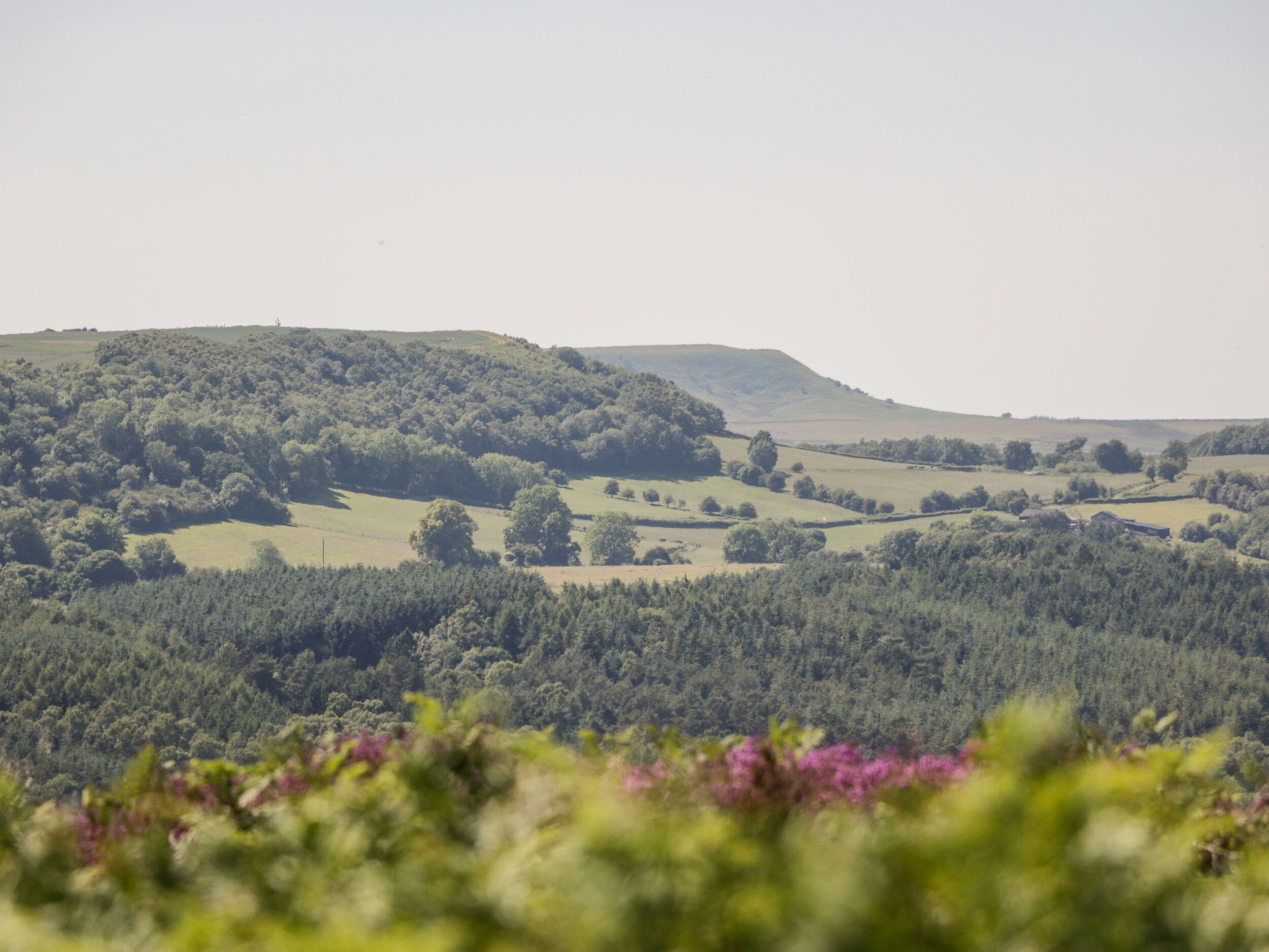 Property image 62 for SC1166351