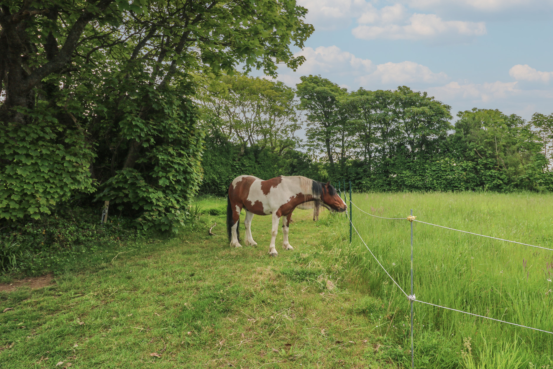 Property image 21 for SC1166361