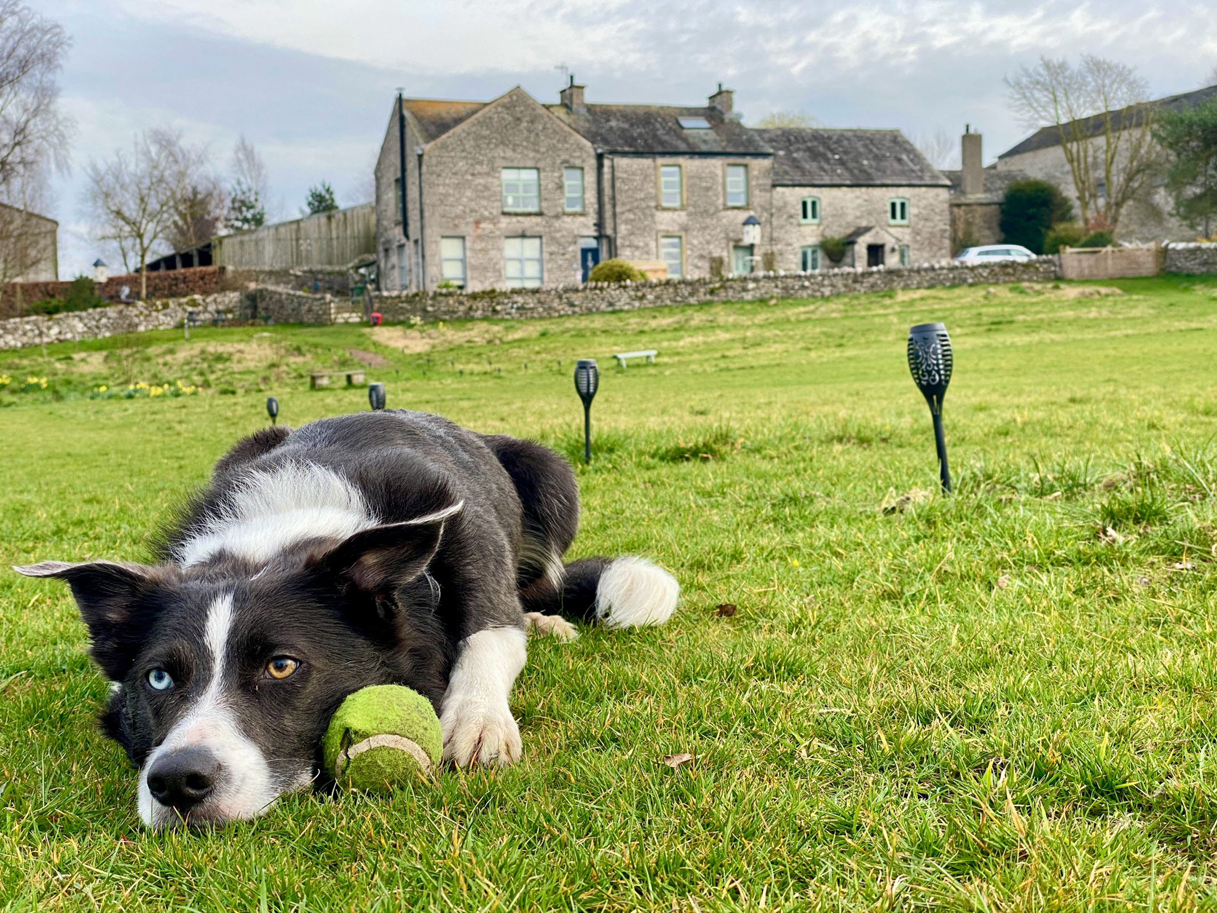 Property image 30 for SC1166458