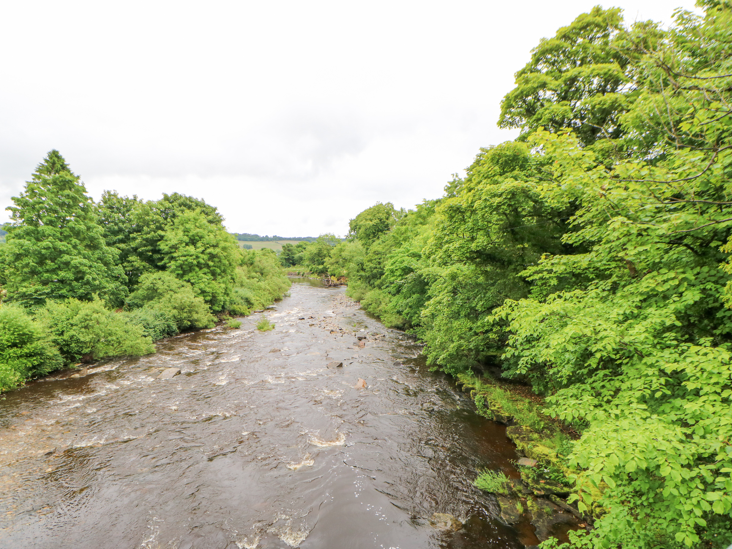 Property image 41 for SC1166472