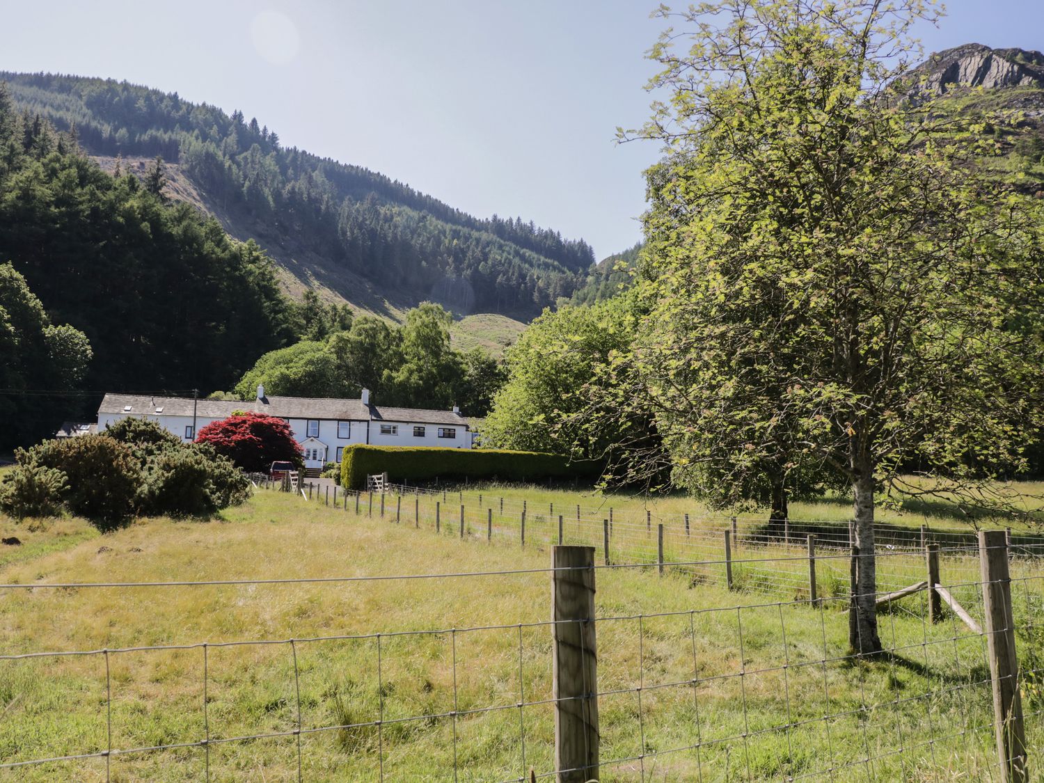 Property image 12 for SC1166809