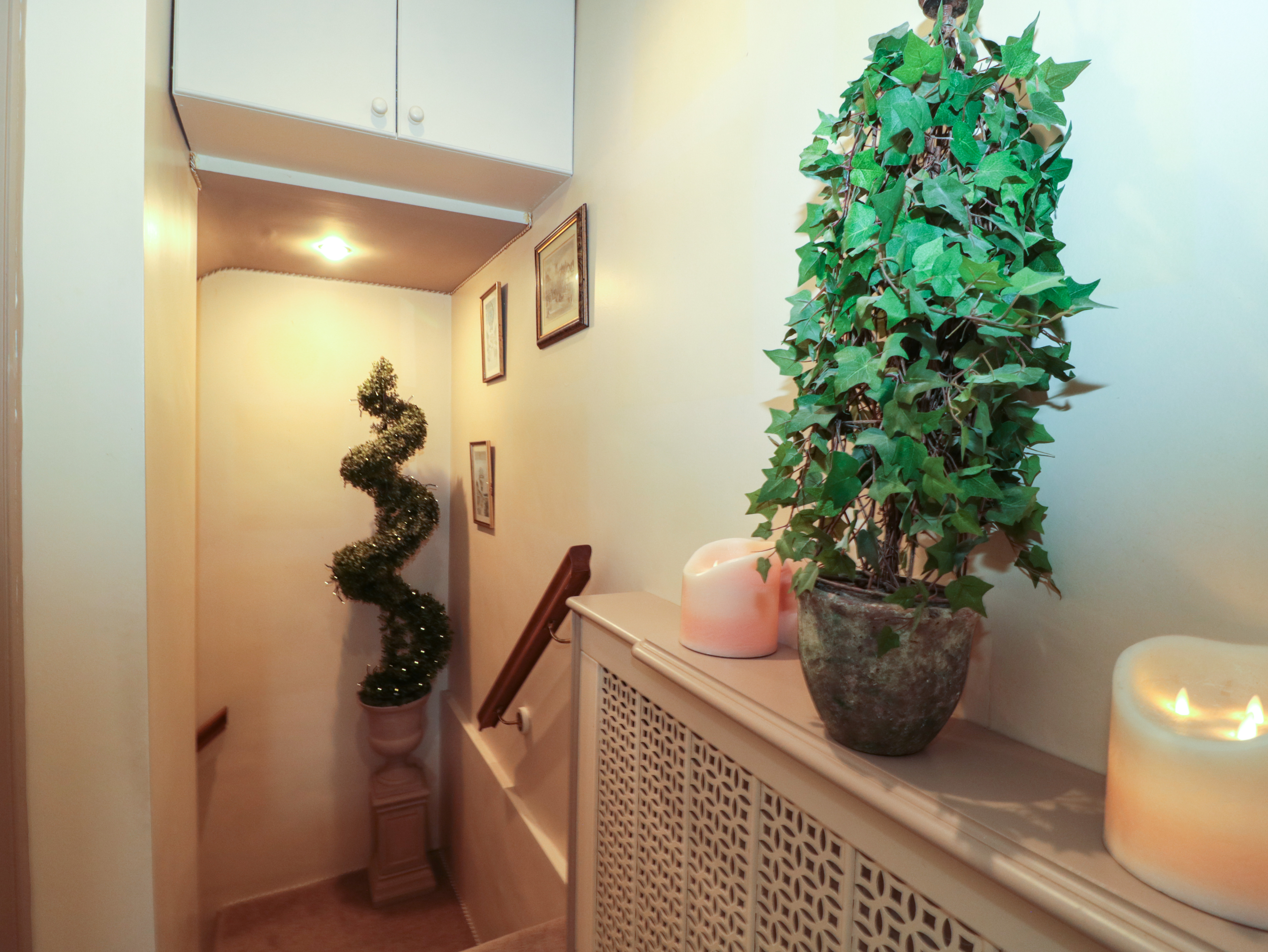 Property image 12 for SC1166882