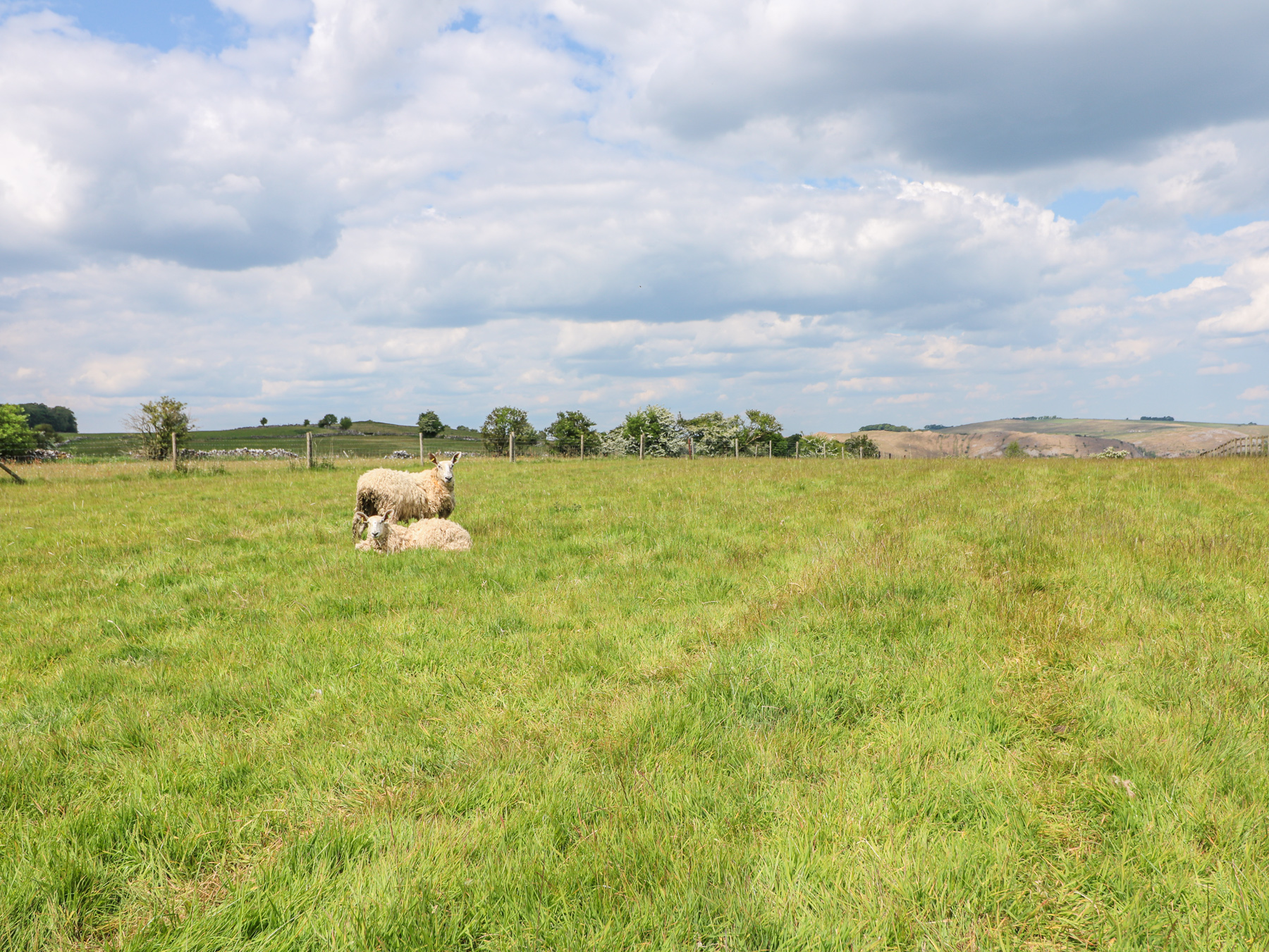 Property image 27 for SC1167366