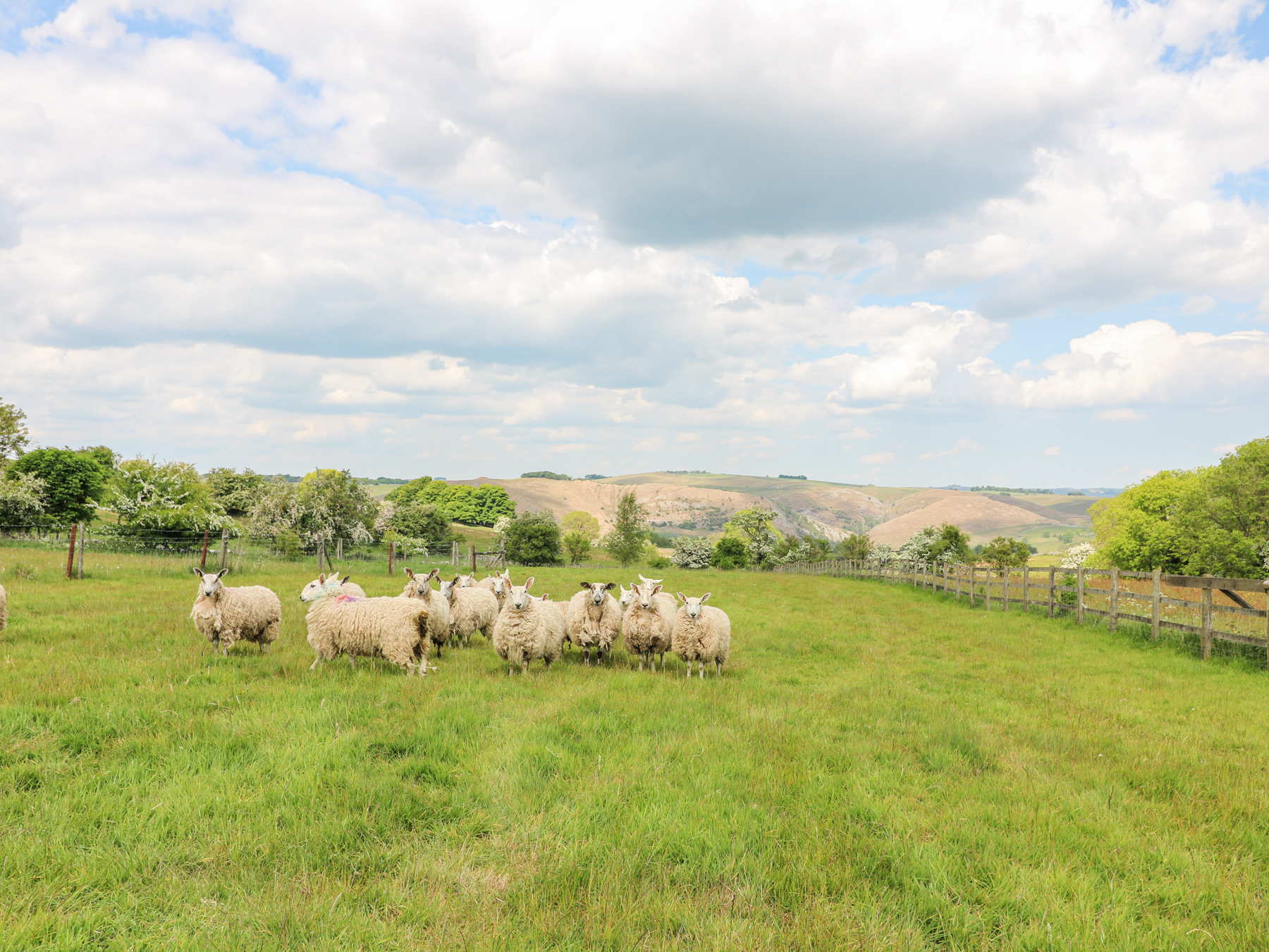 Property image 28 for SC1167366