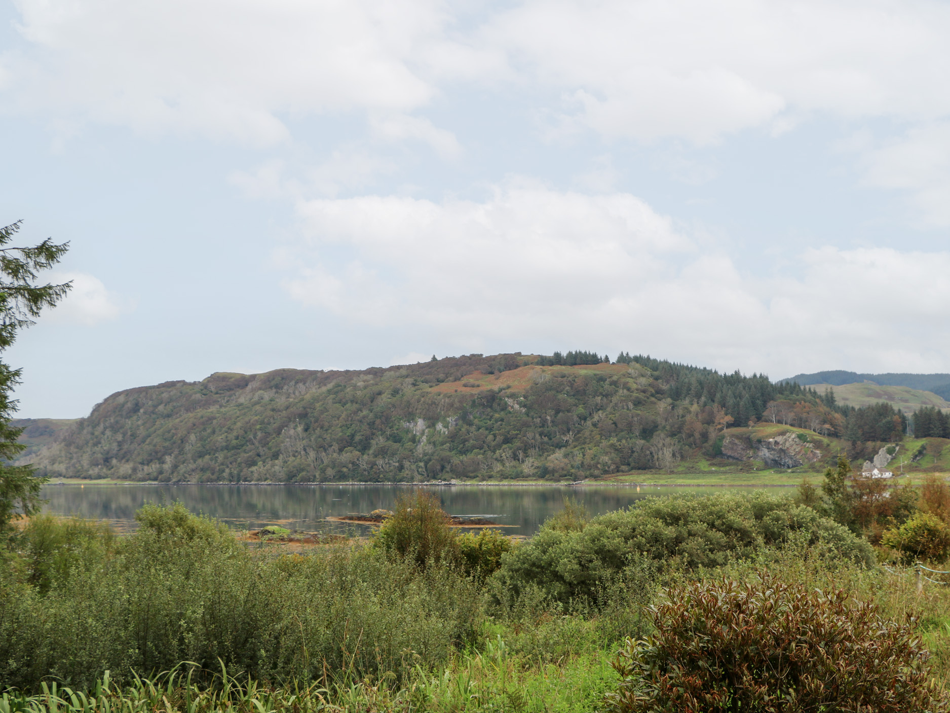 Property image 26 for SC1167453