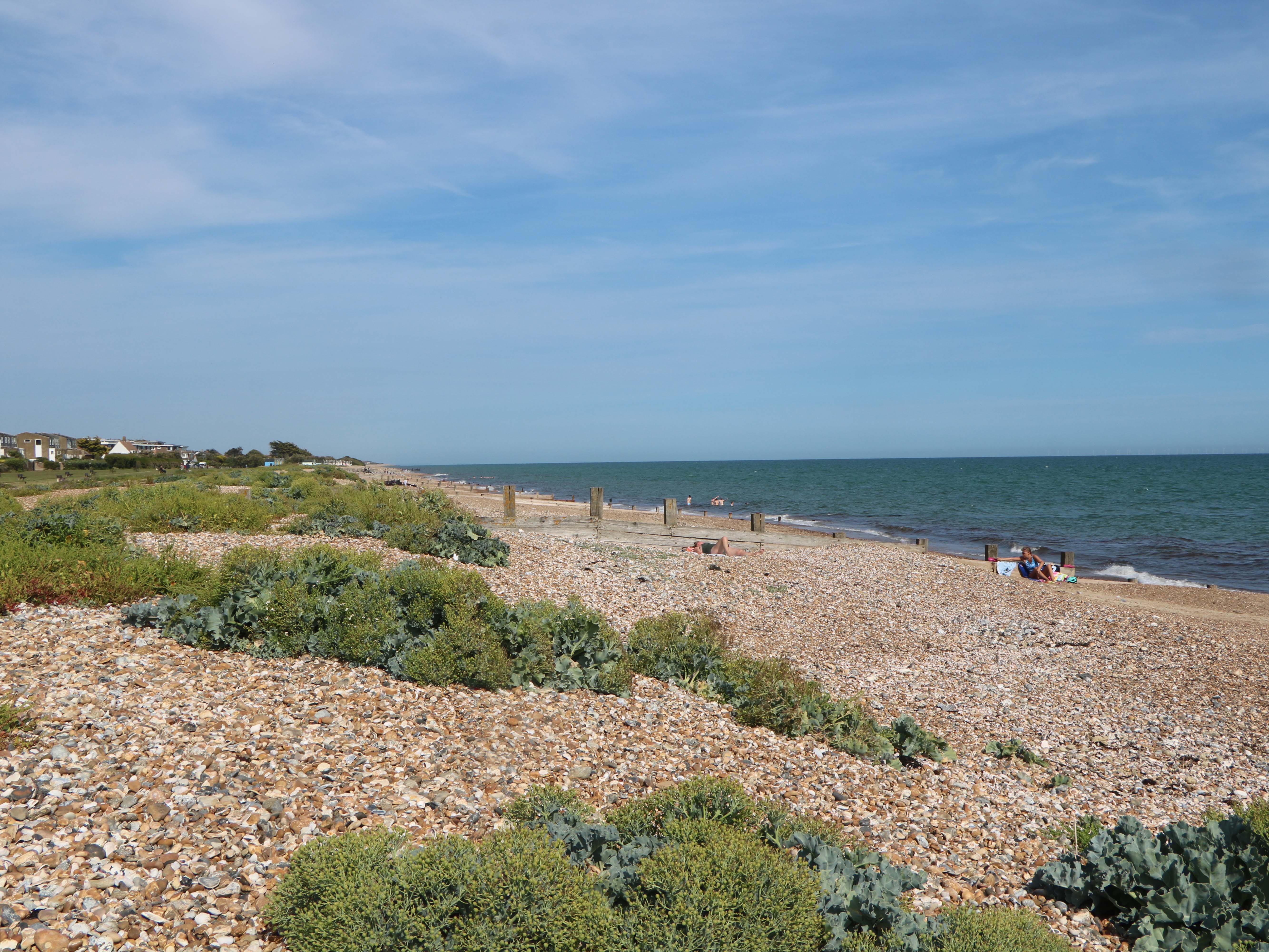 Property image 59 for SC1167706