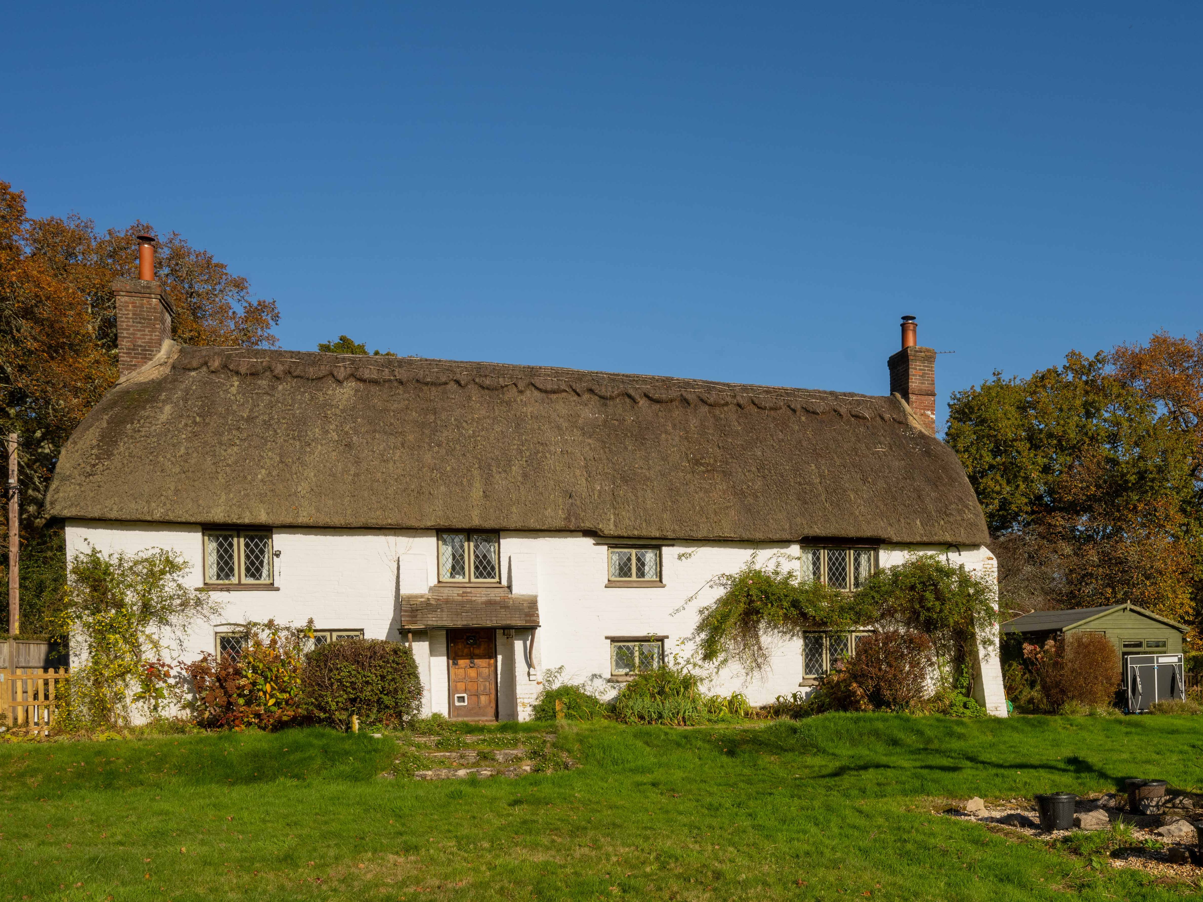 Little Lions Farm
