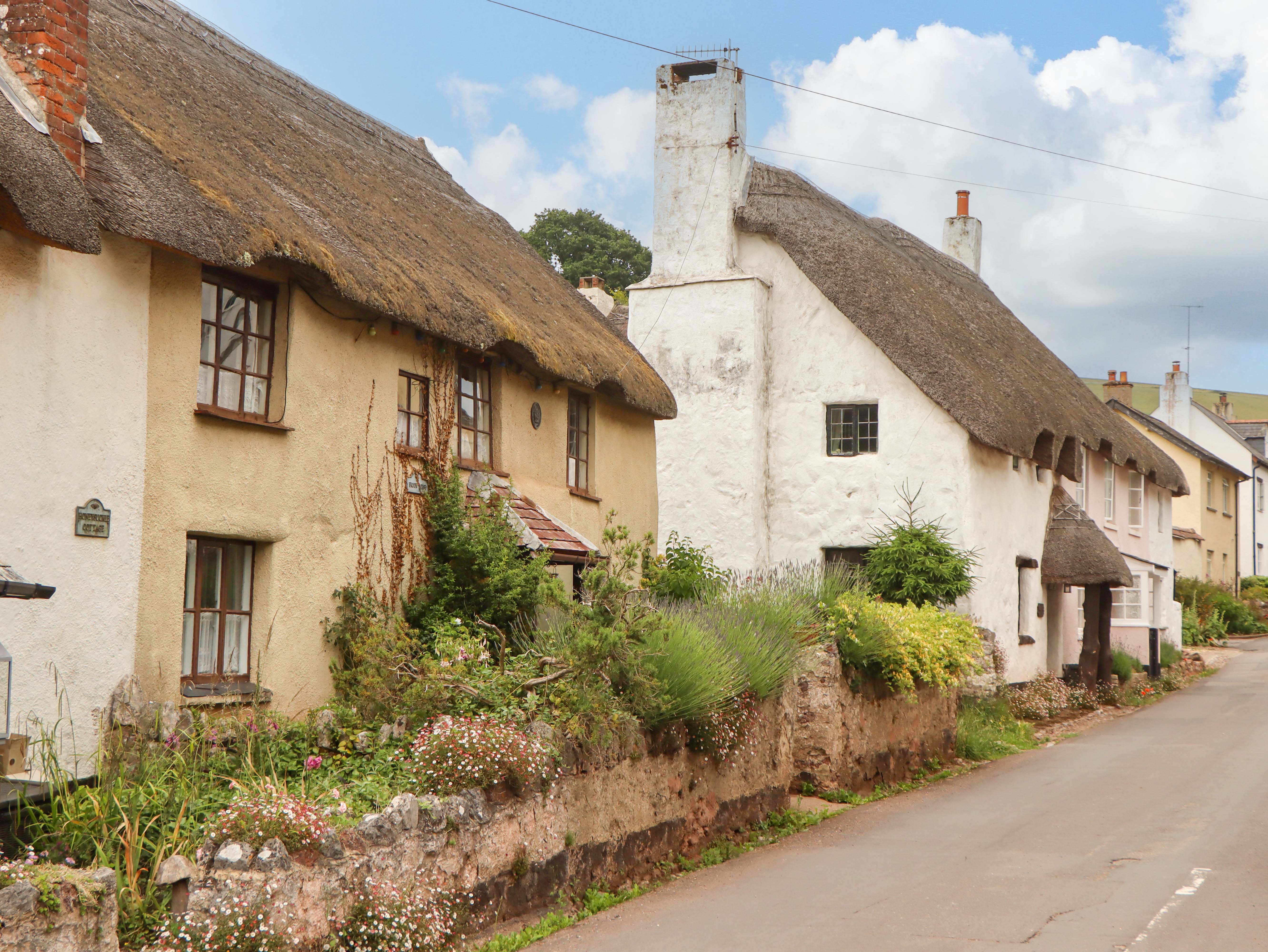 Property image 38 for SC1168168