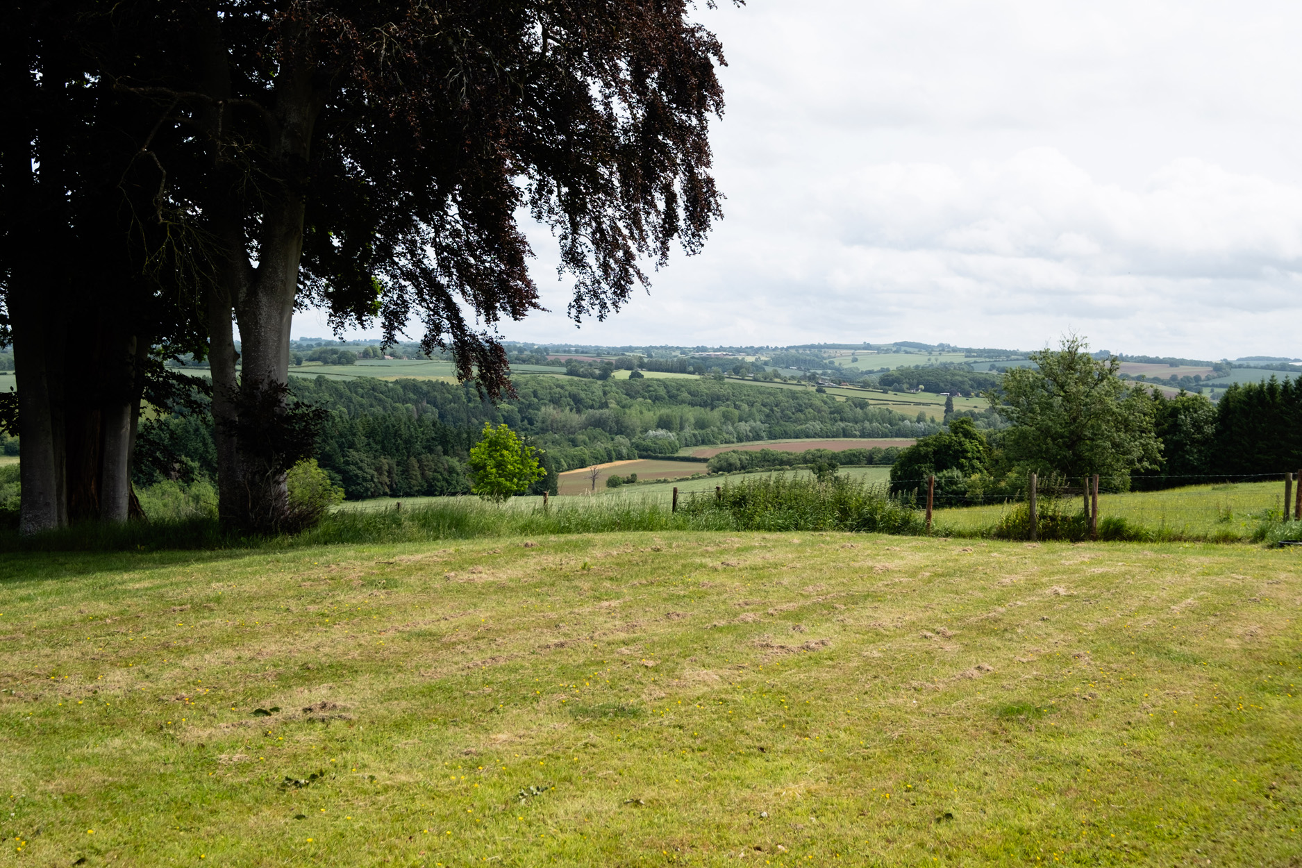 Property image 36 for SC1168245