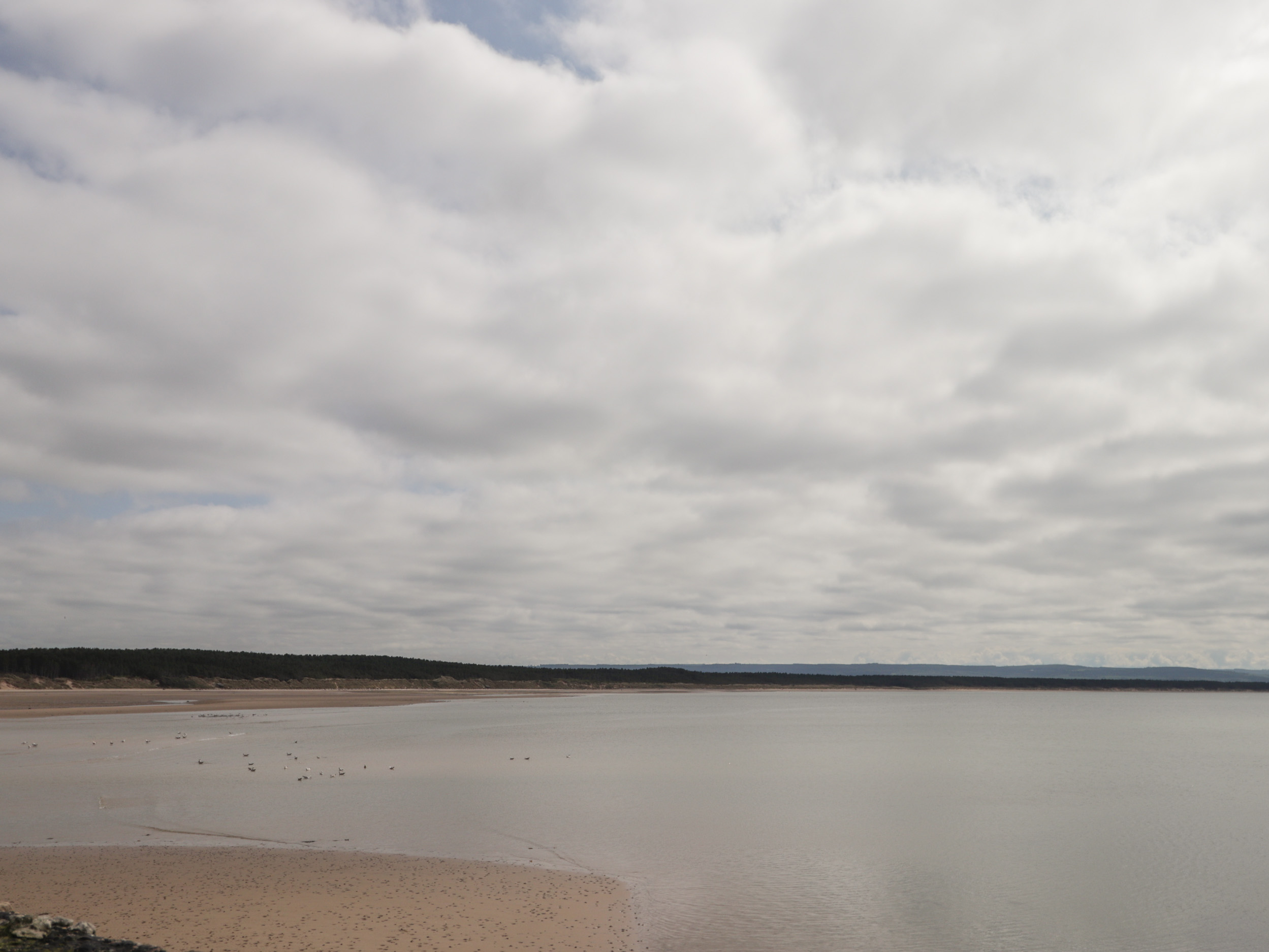 Property image 55 for SC1168464