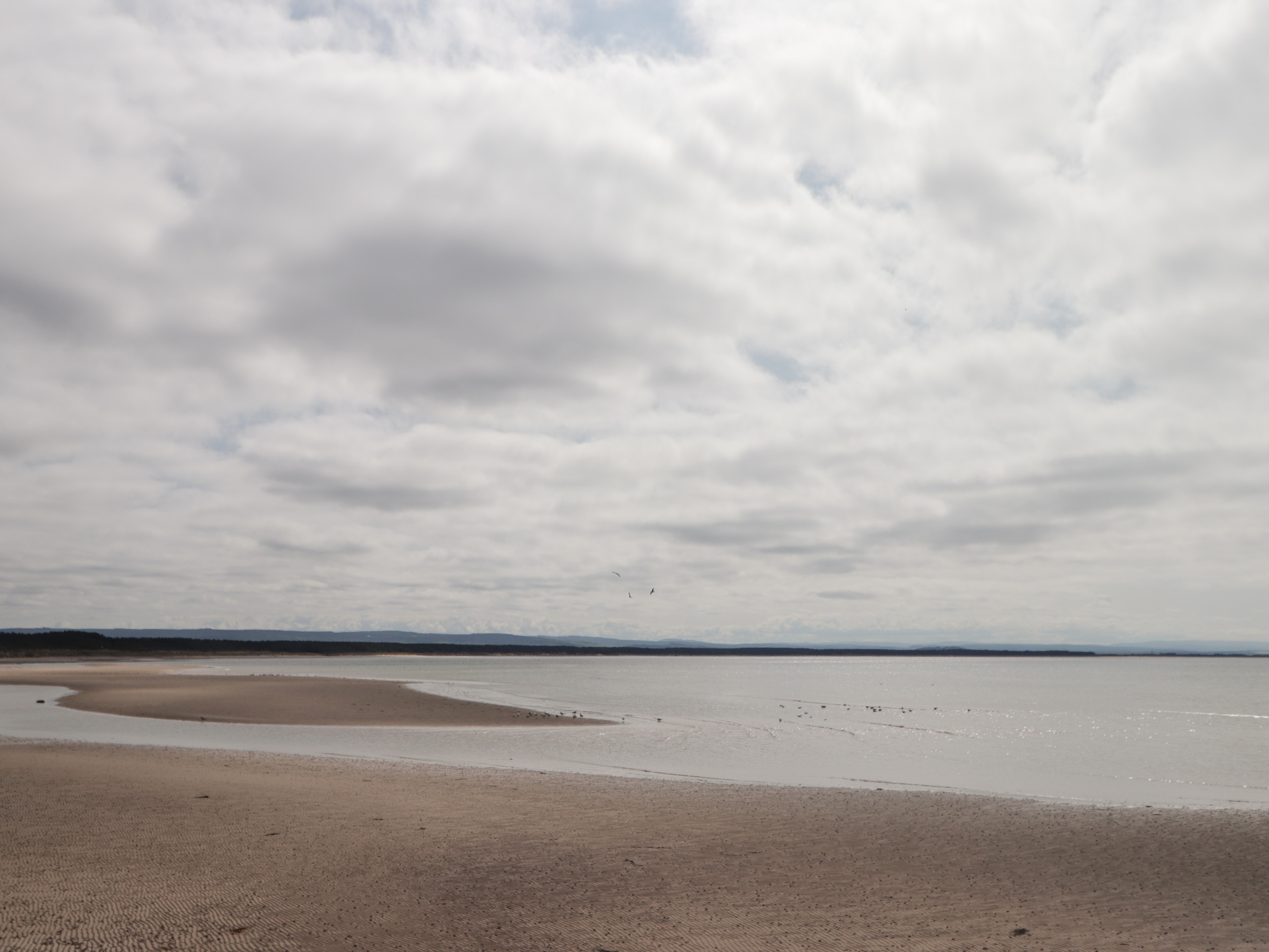 Property image 60 for SC1168464