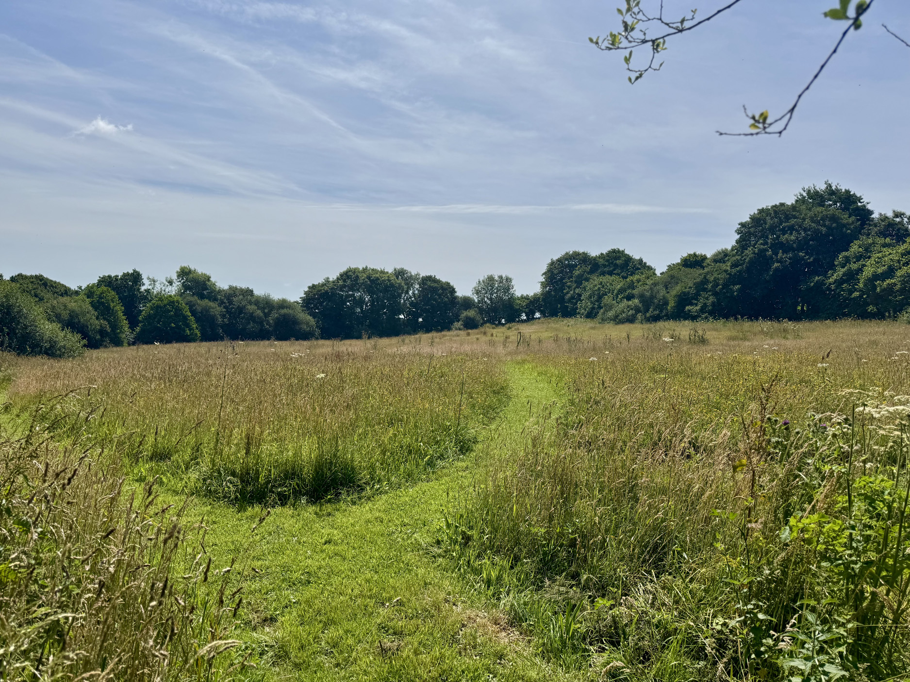 Property image 28 for SC1168665