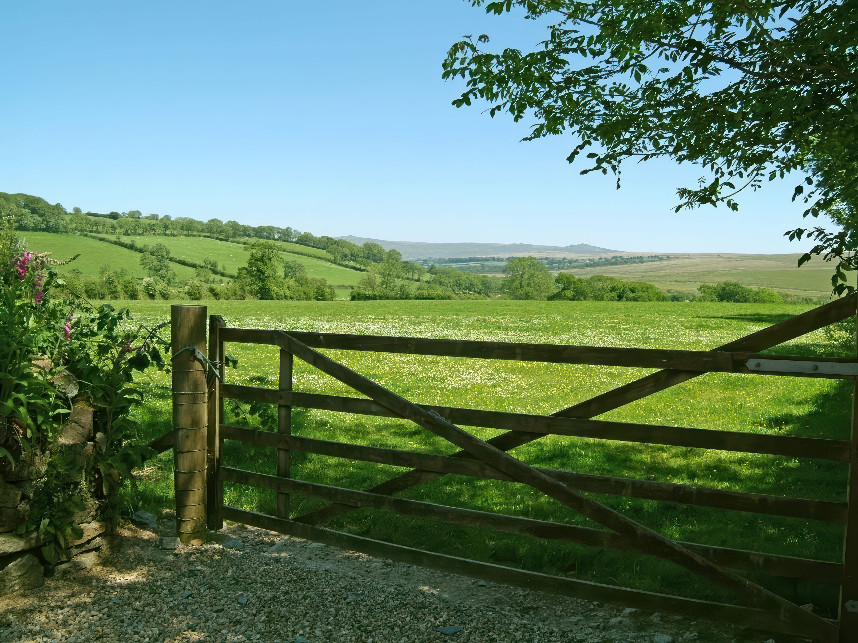 Property image 17 for SC1168946