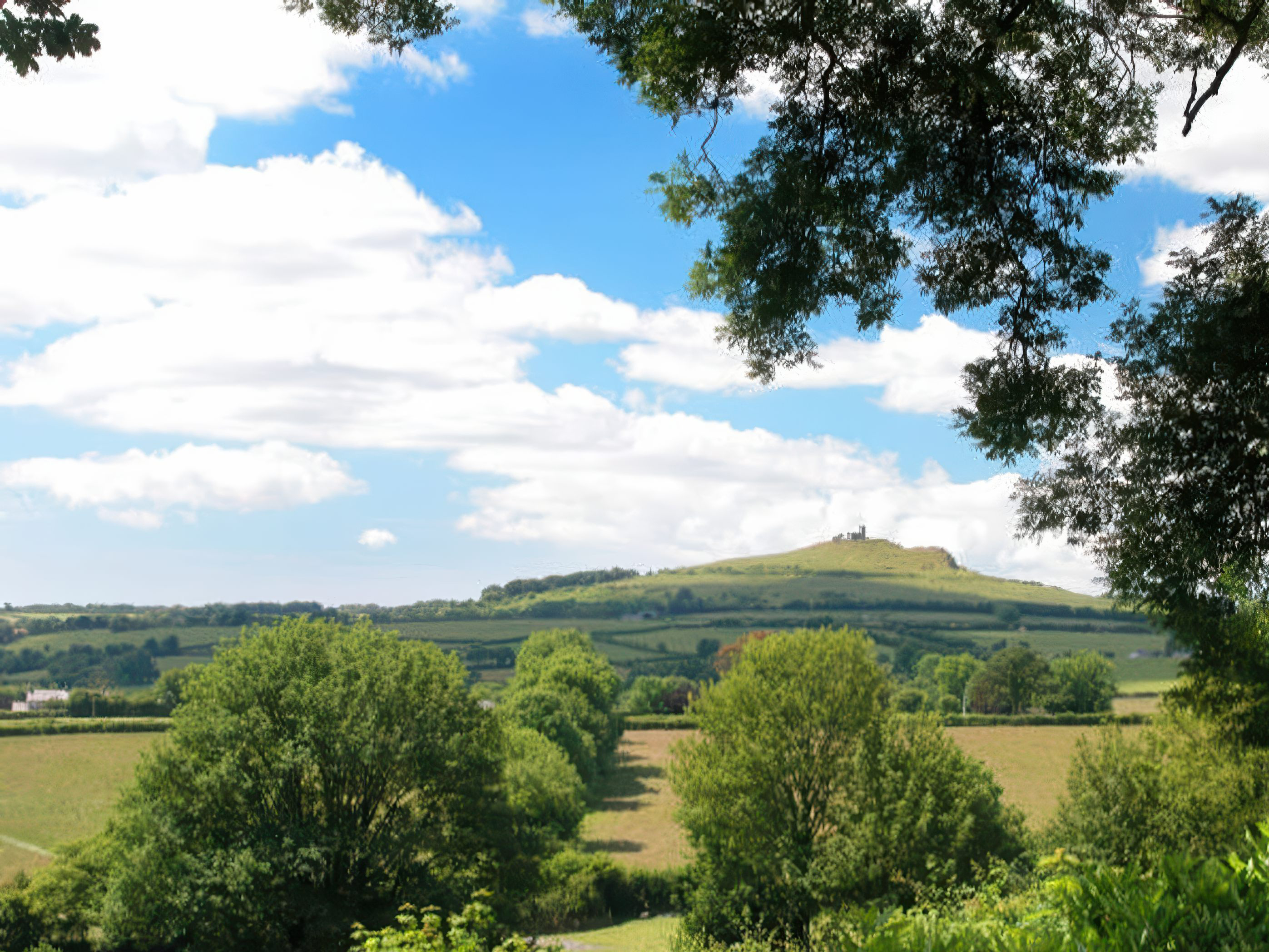 Property image 30 for SC1168947