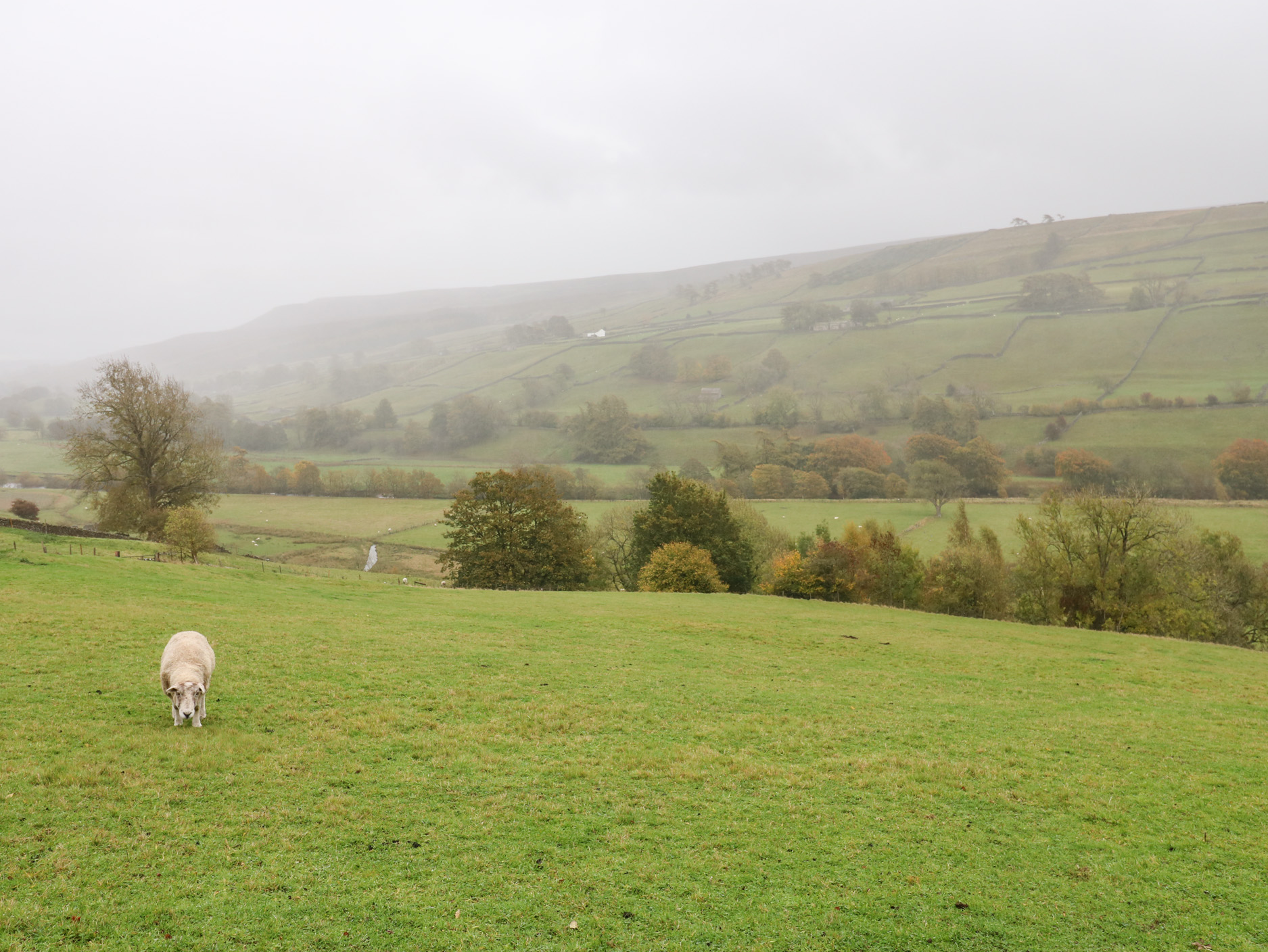 Property image 27 for SC1169026