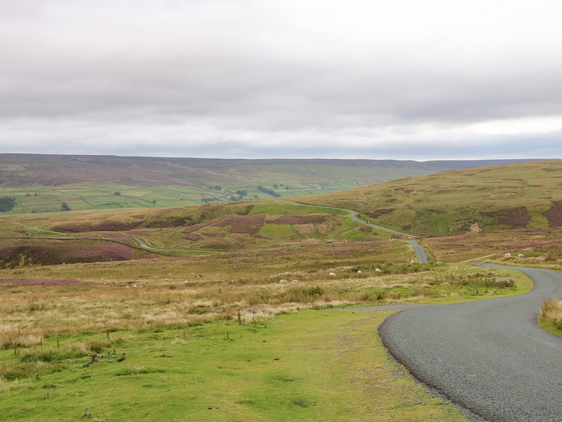 Property image 39 for SC1169026