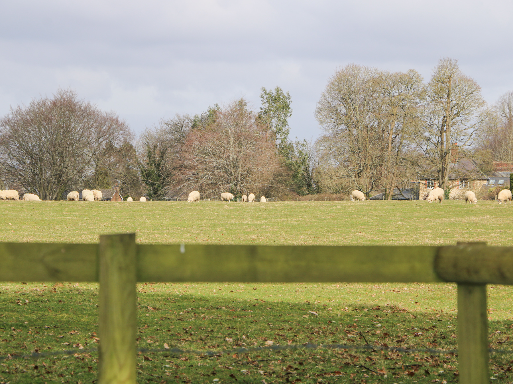 Property image 28 for SC1169173