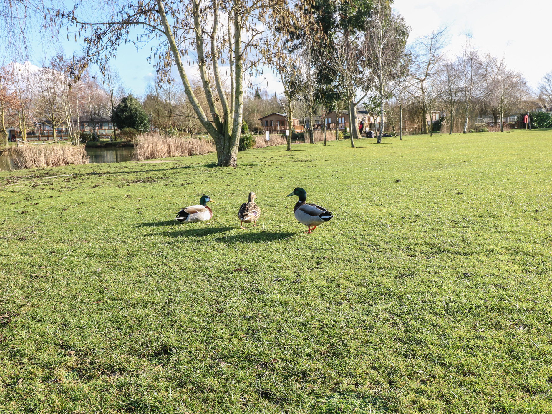 Property image 29 for SC1169371