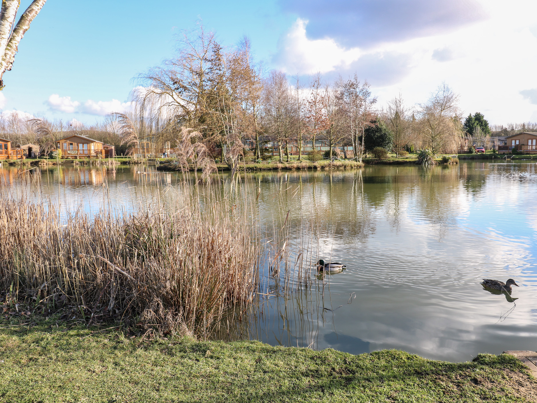 Property image 30 for SC1169371