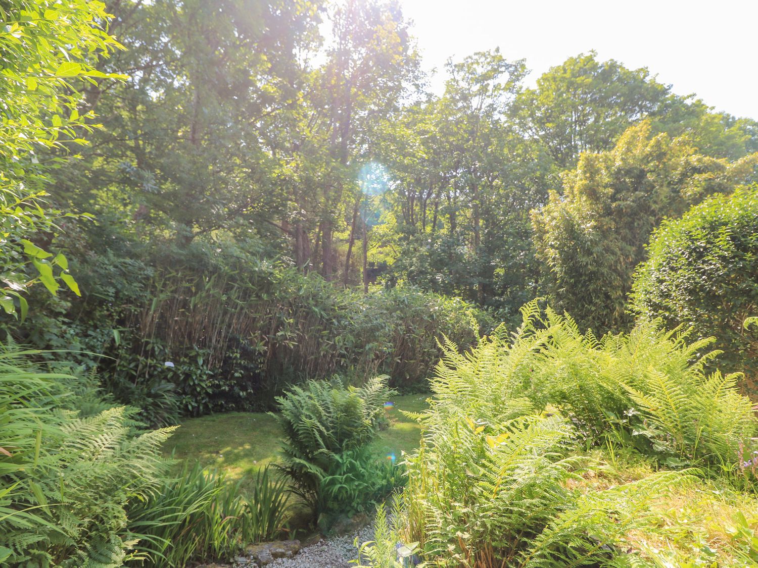 Property image 24 for SC1169436