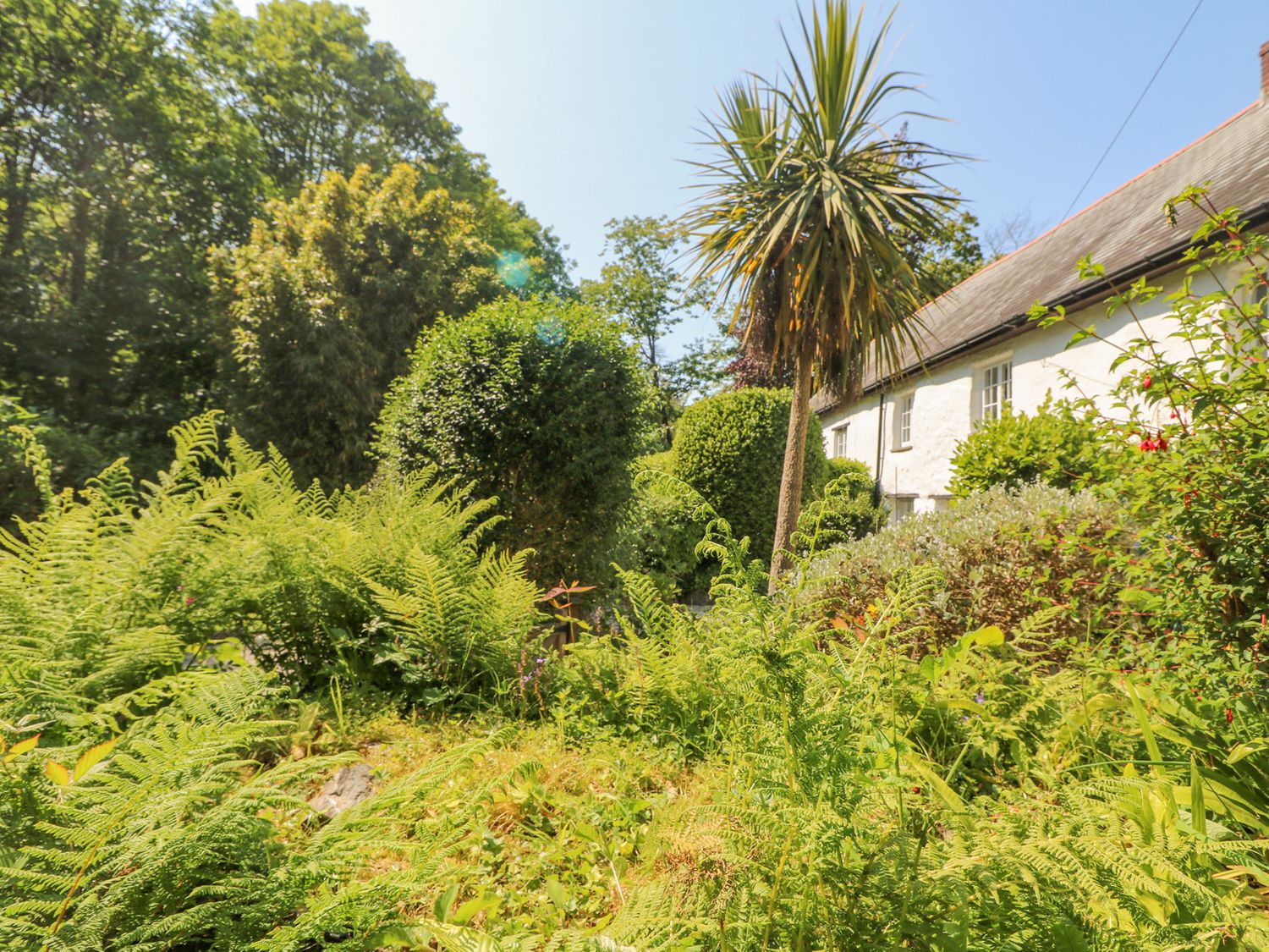 Property image 25 for SC1169436