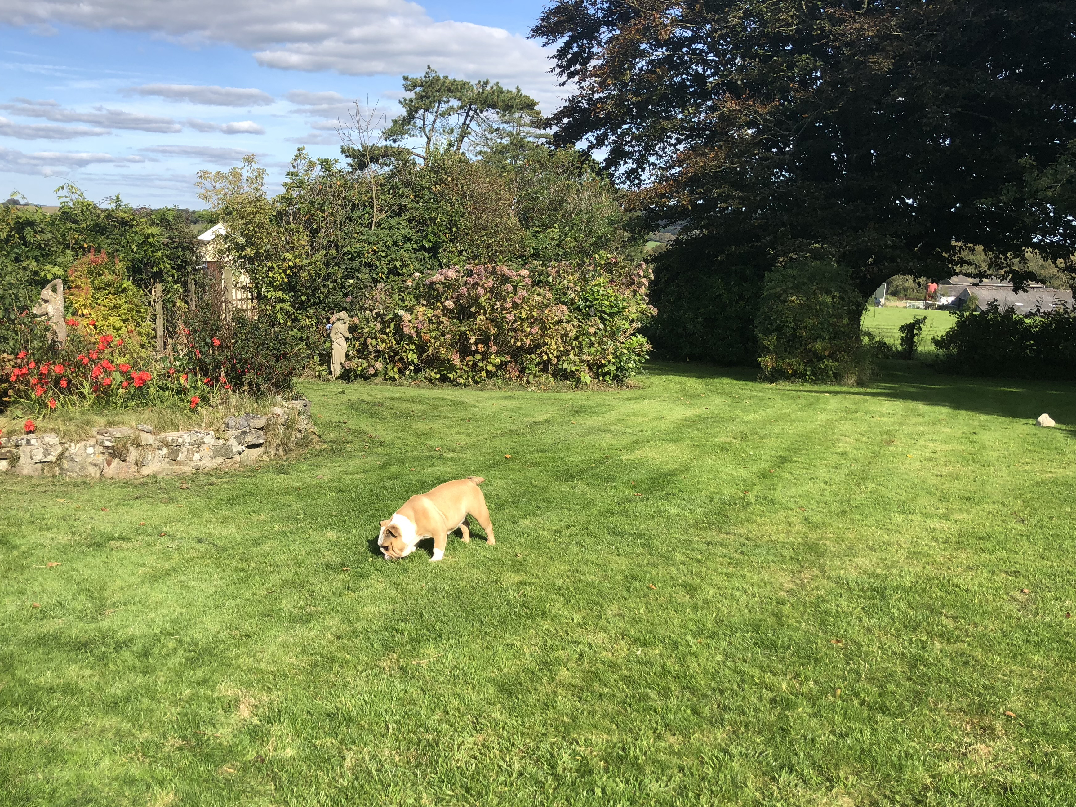 Property image 3 for SC1169517