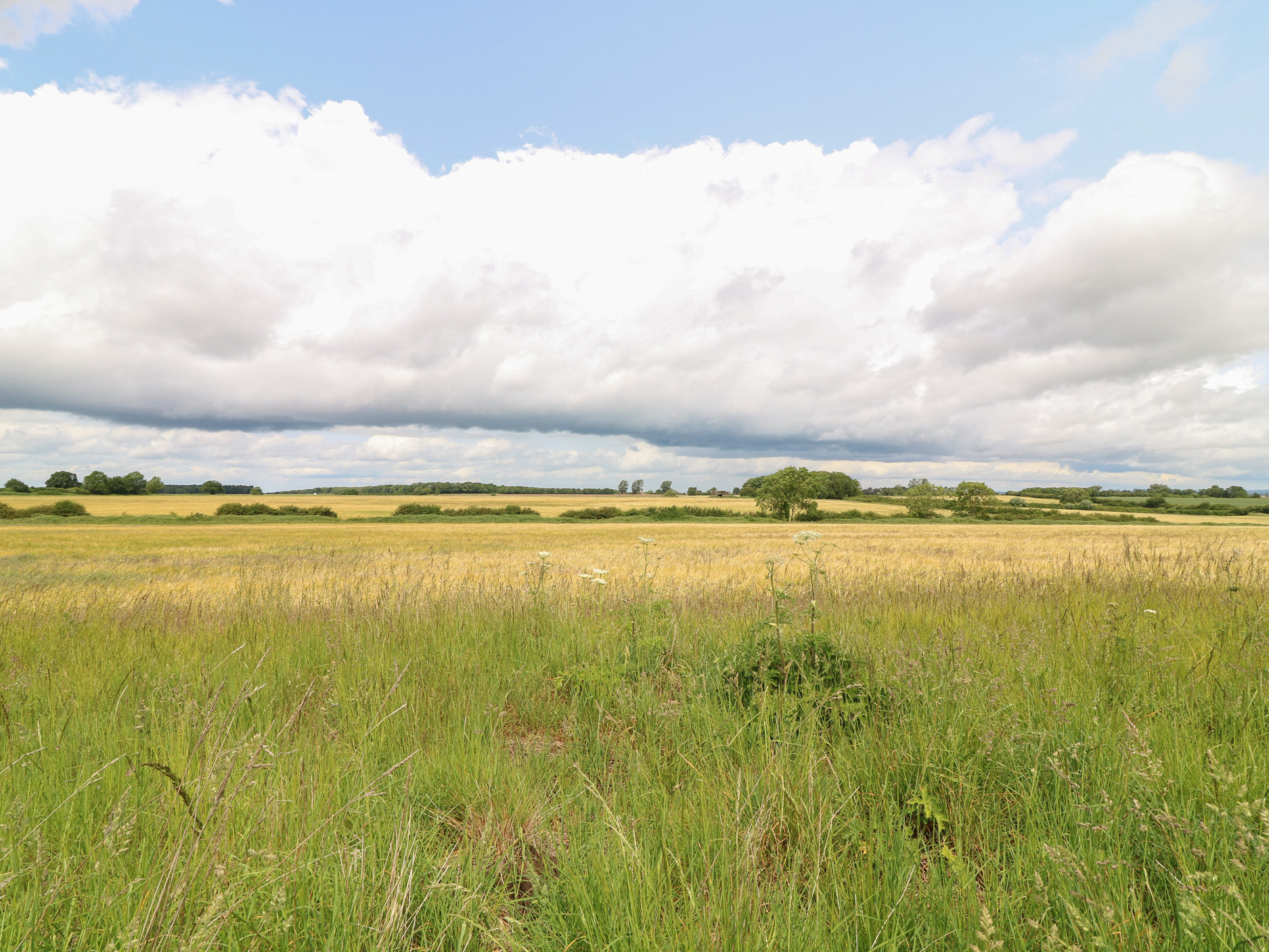 Property image 27 for SC1169564