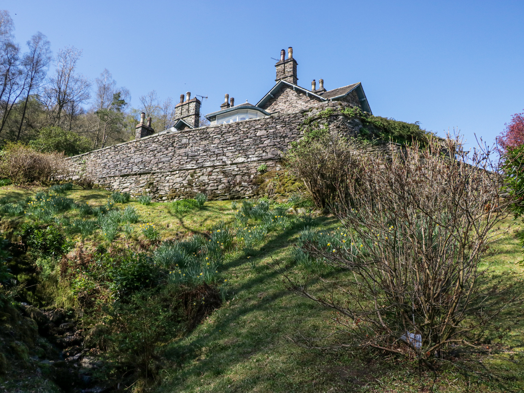 Property image 50 for SC1169919