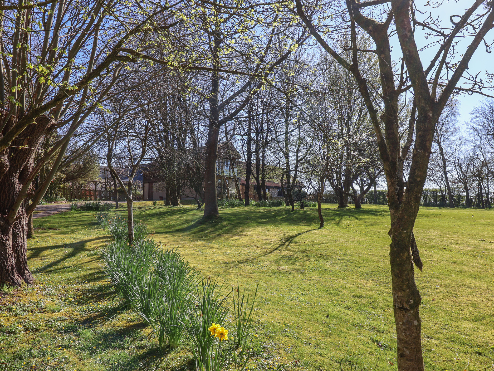 Property image 31 for SC1169985