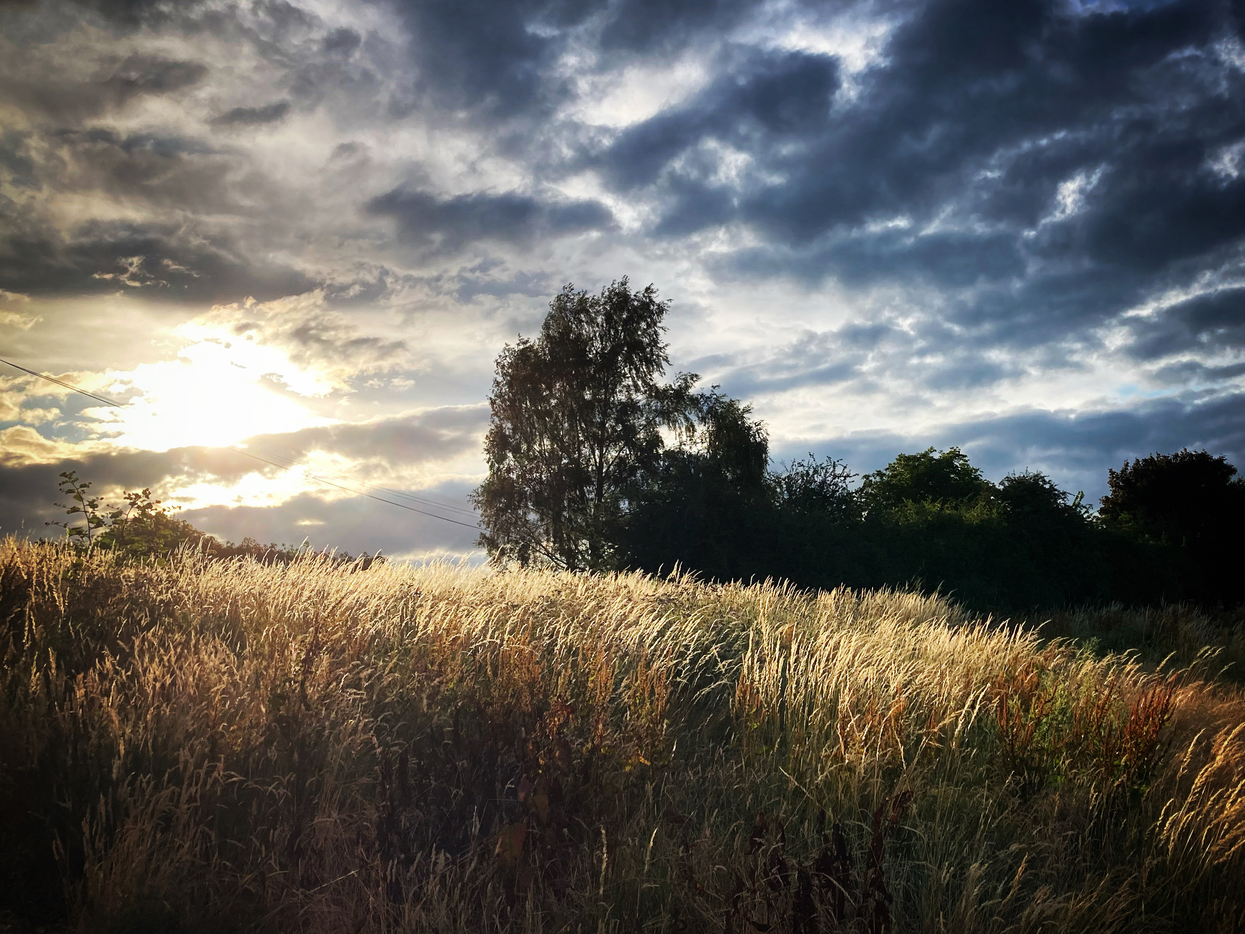 Property image 53 for SC1169994