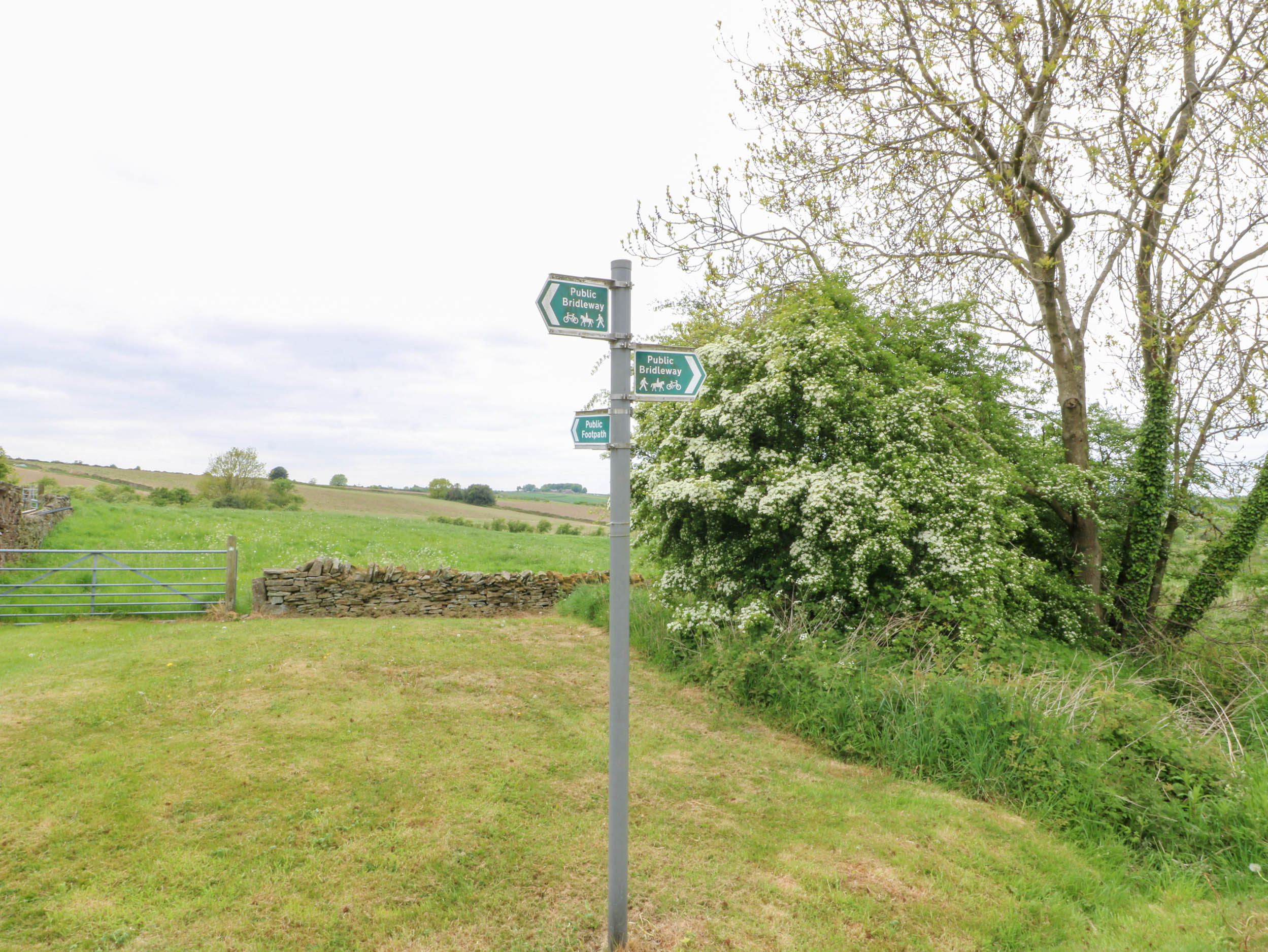 Property image 29 for SC1169996