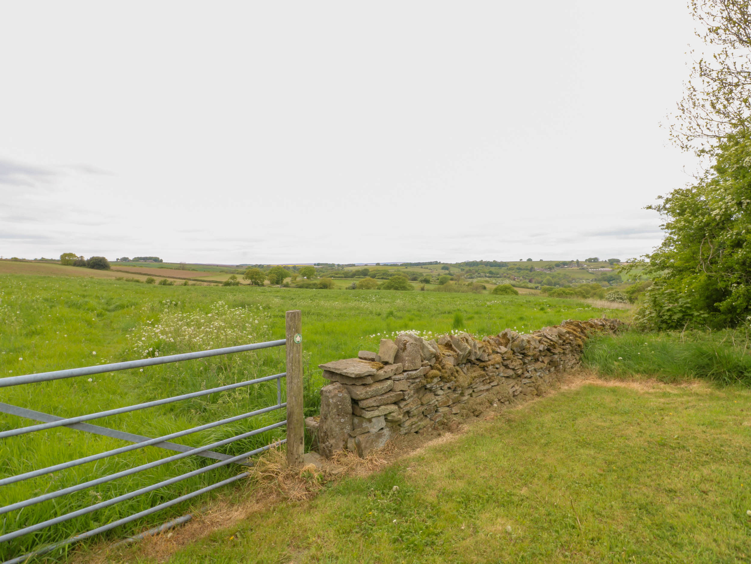 Property image 30 for SC1169996