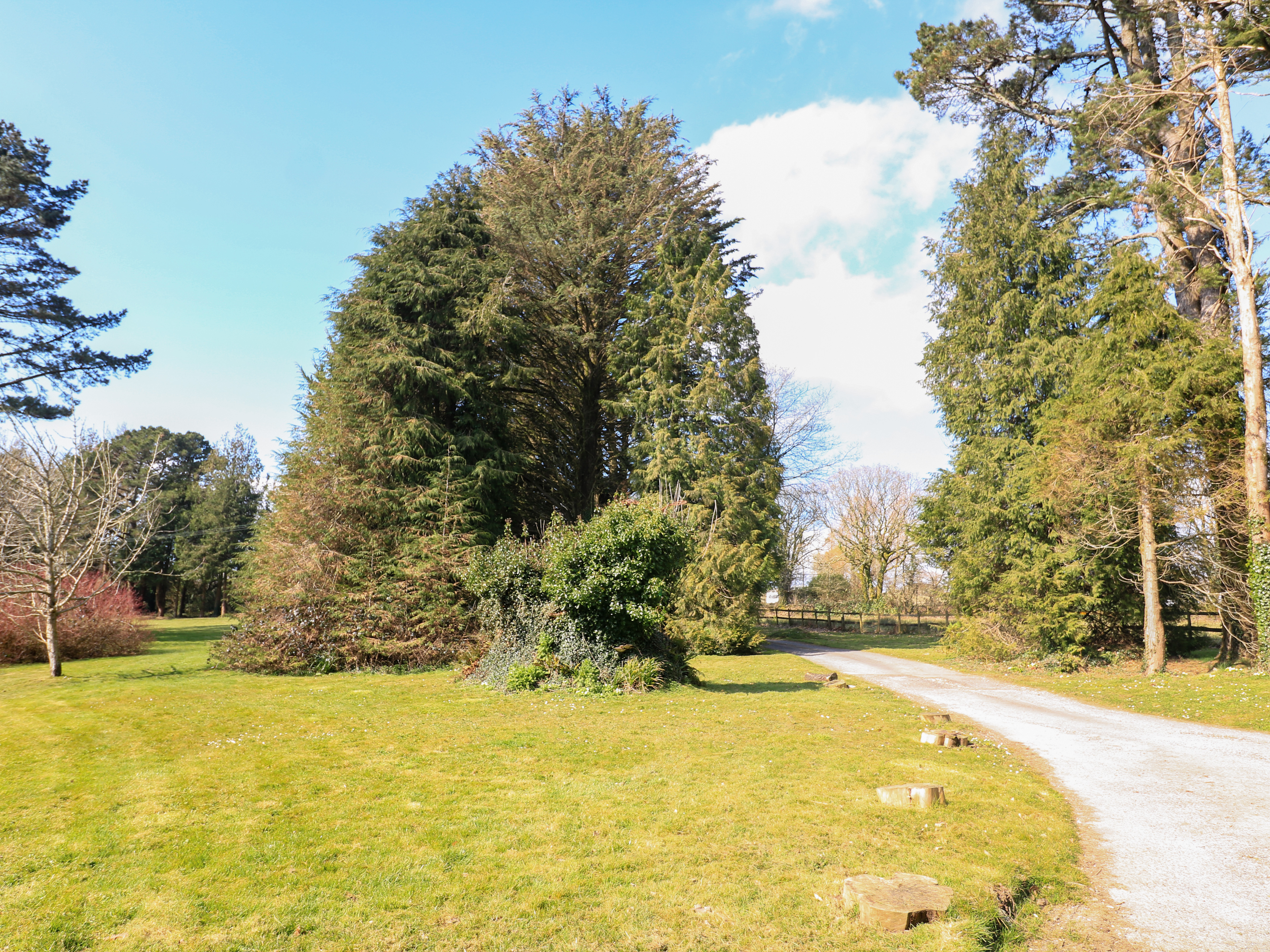 Property image 25 for SC1170396