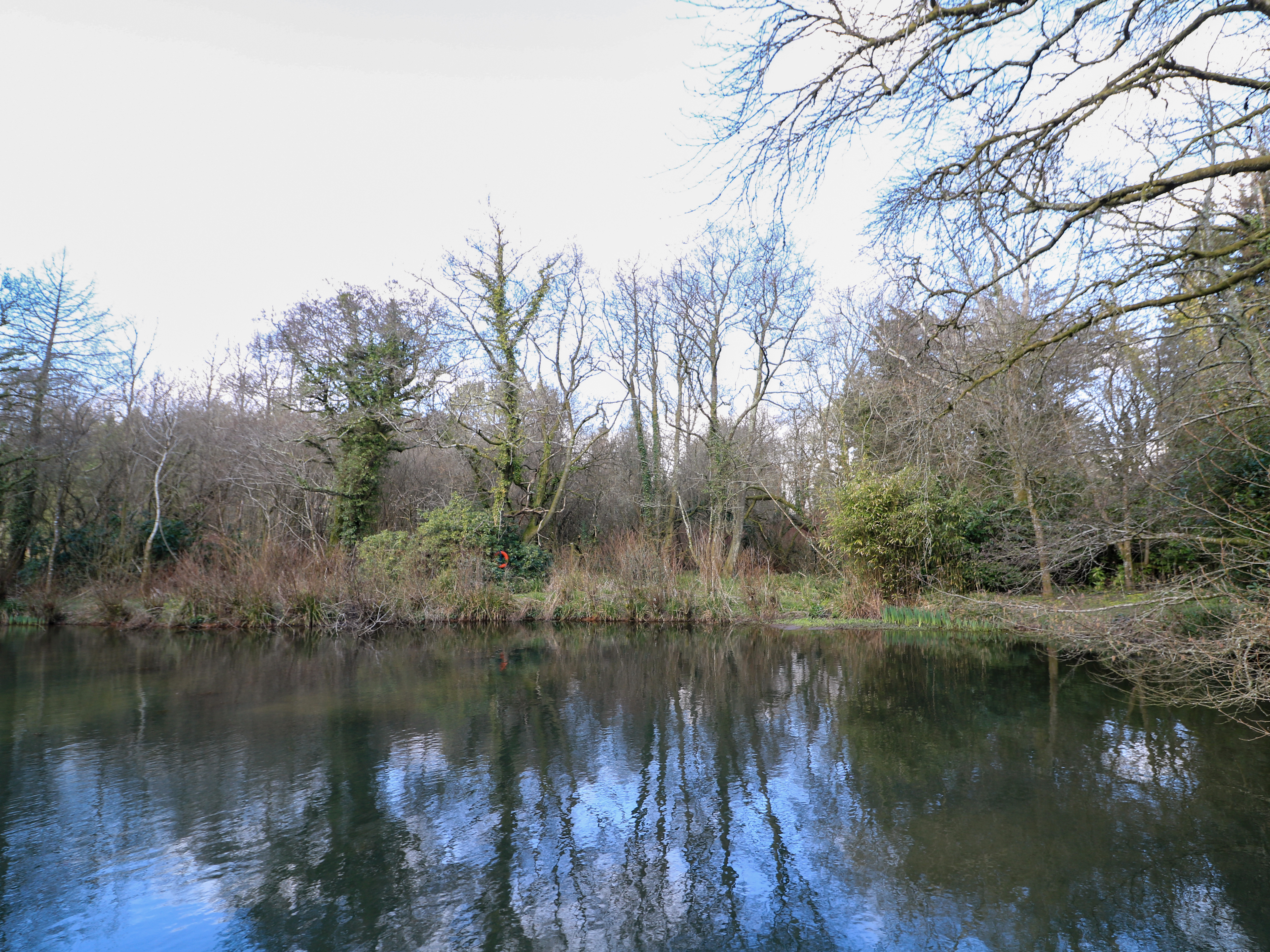 Property image 27 for SC1170396