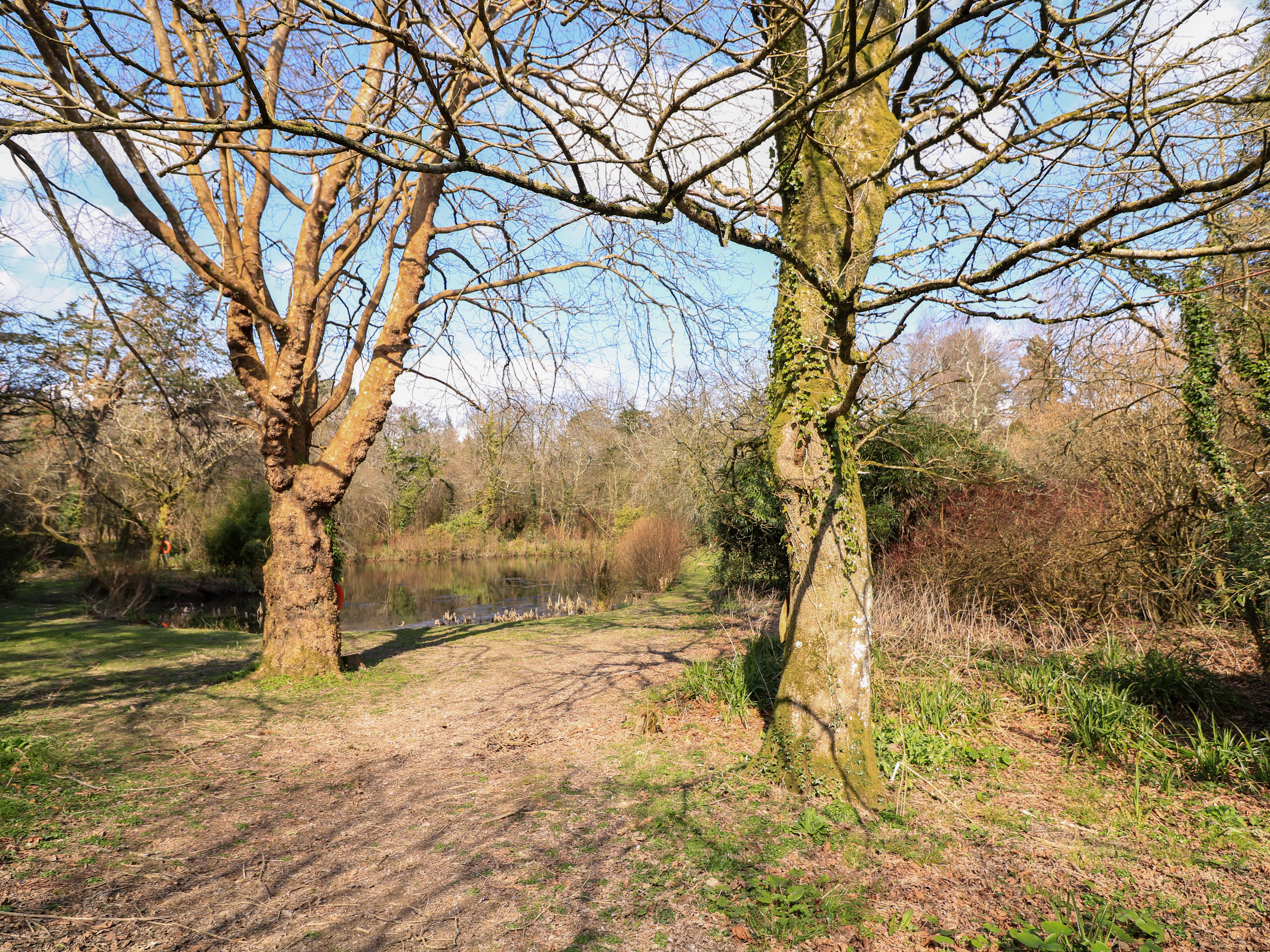 Property image 28 for SC1170396