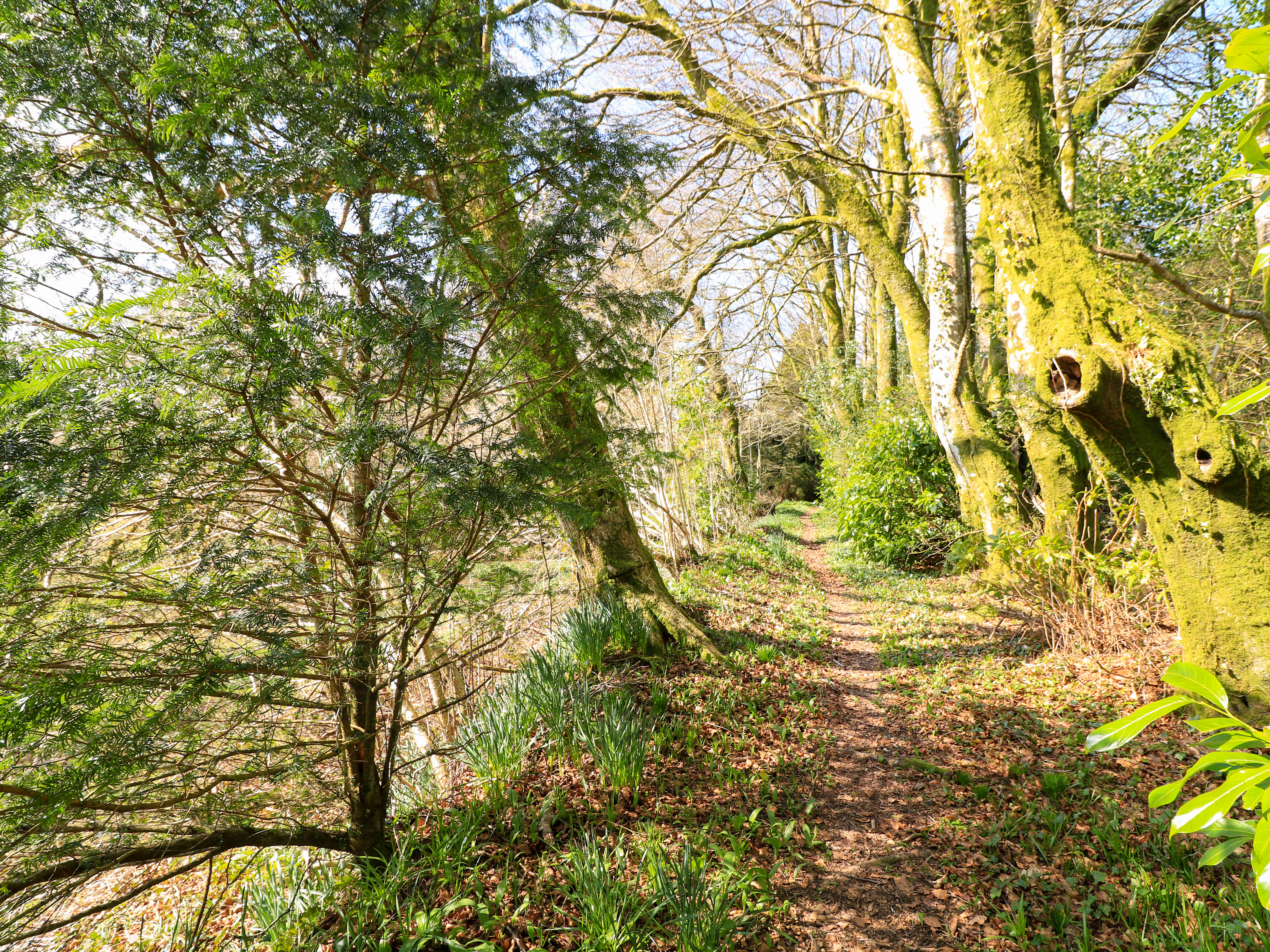 Property image 29 for SC1170396