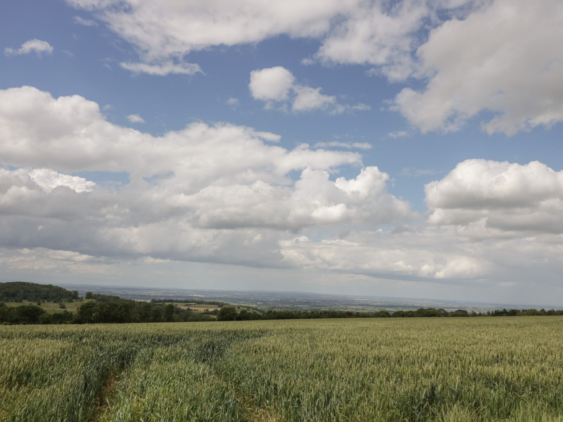 Property image 41 for SC1170460