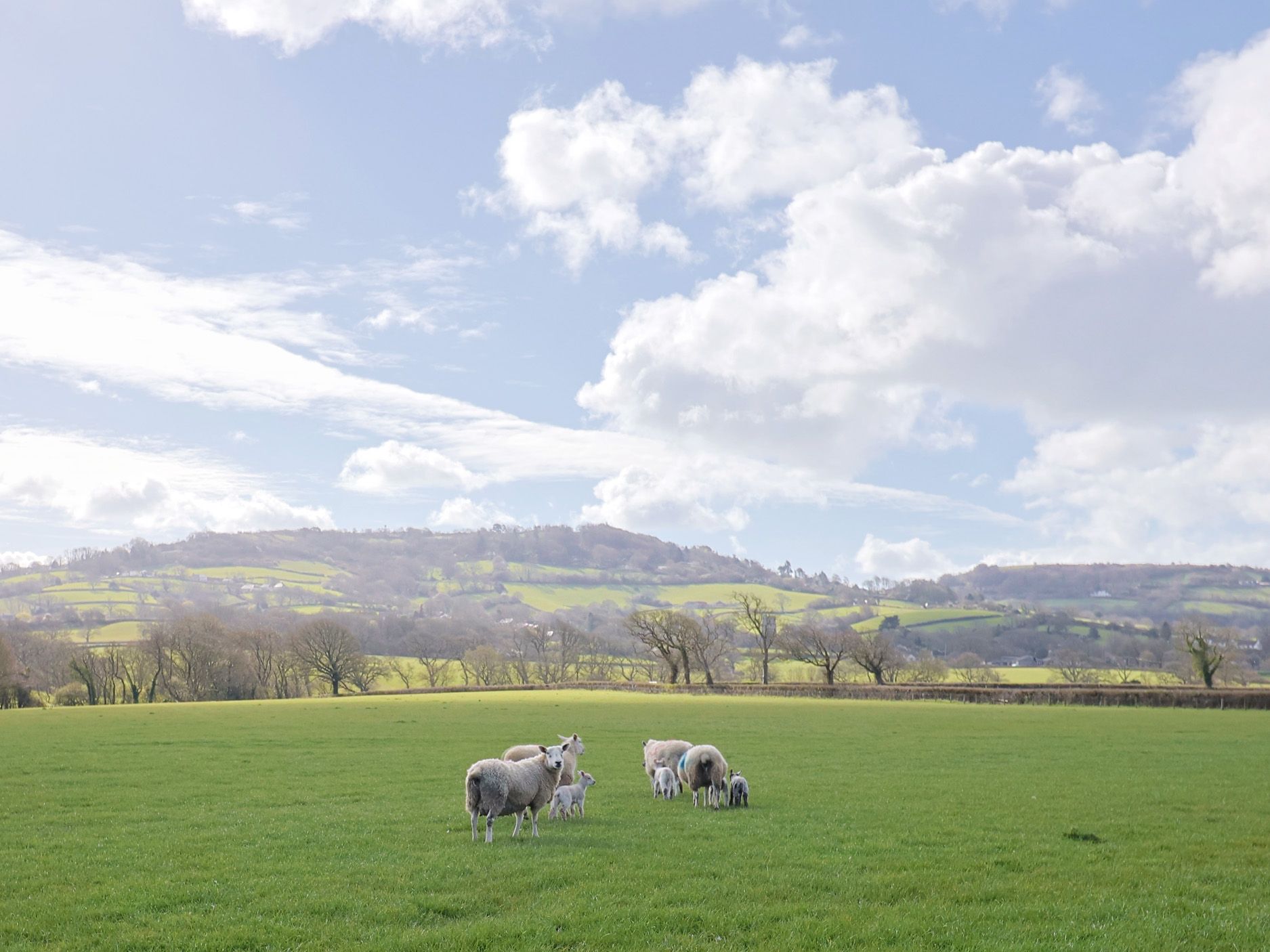 Property image 3 for SC1170835