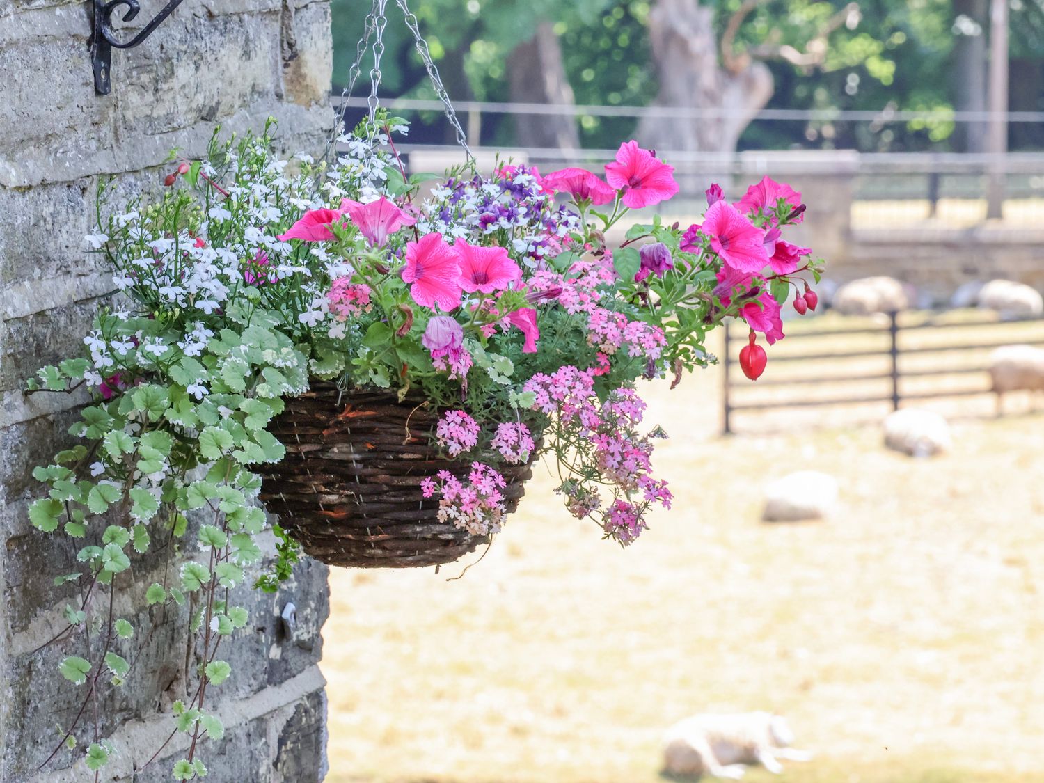 Property image 34 for SC1170839