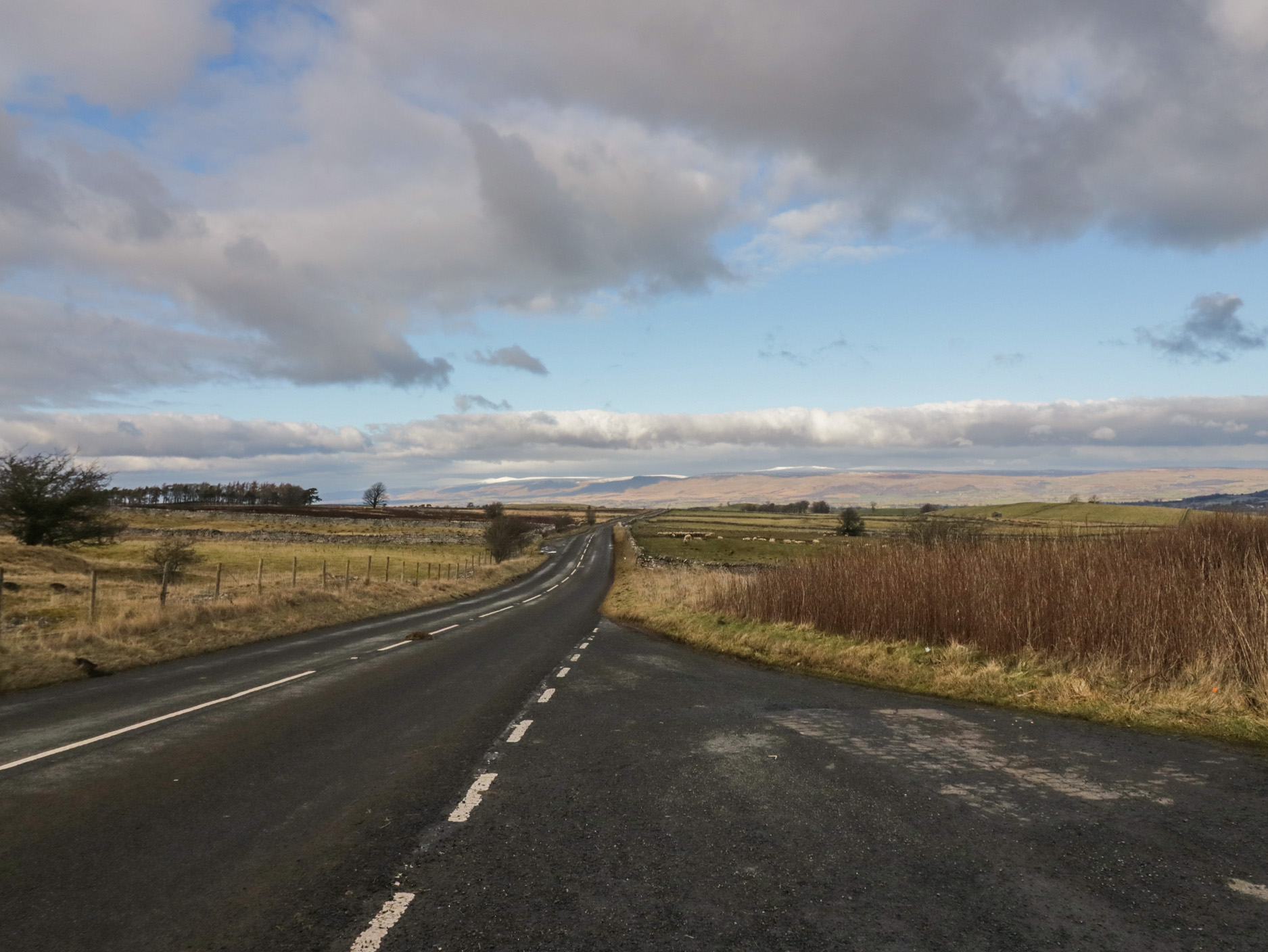 Property image 28 for SC1170879