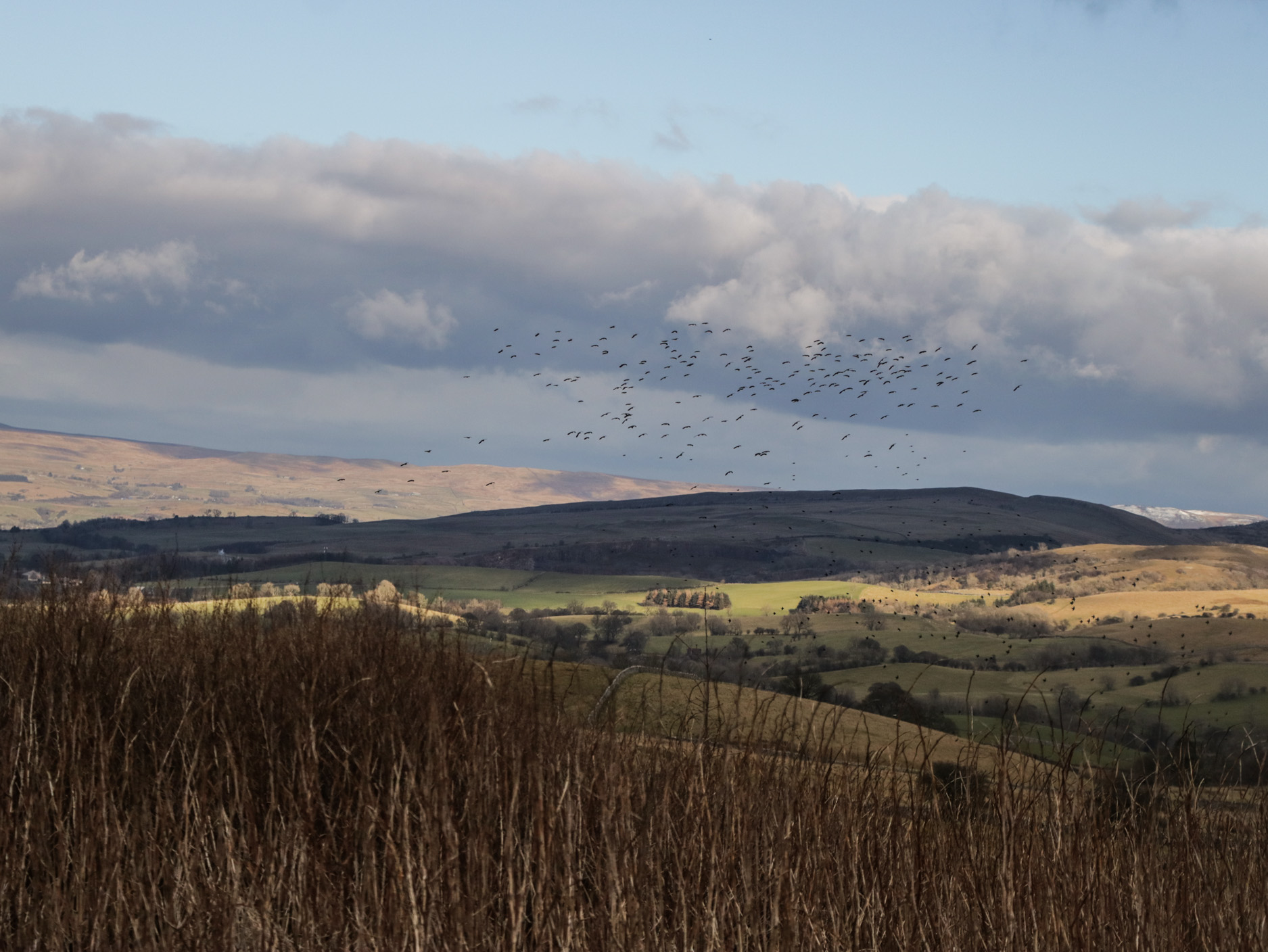 Property image 30 for SC1170879