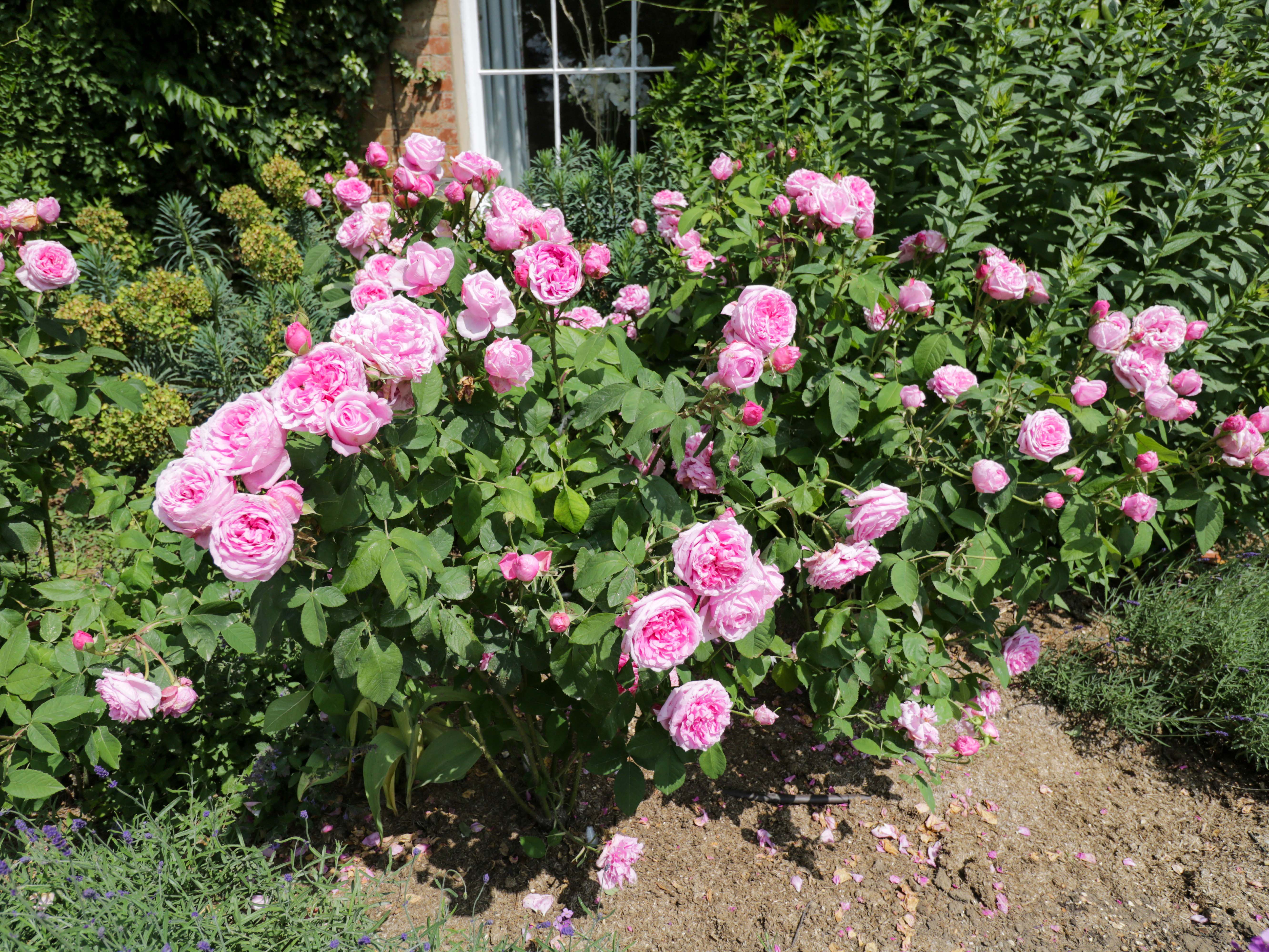 Property image 29 for SC1170884