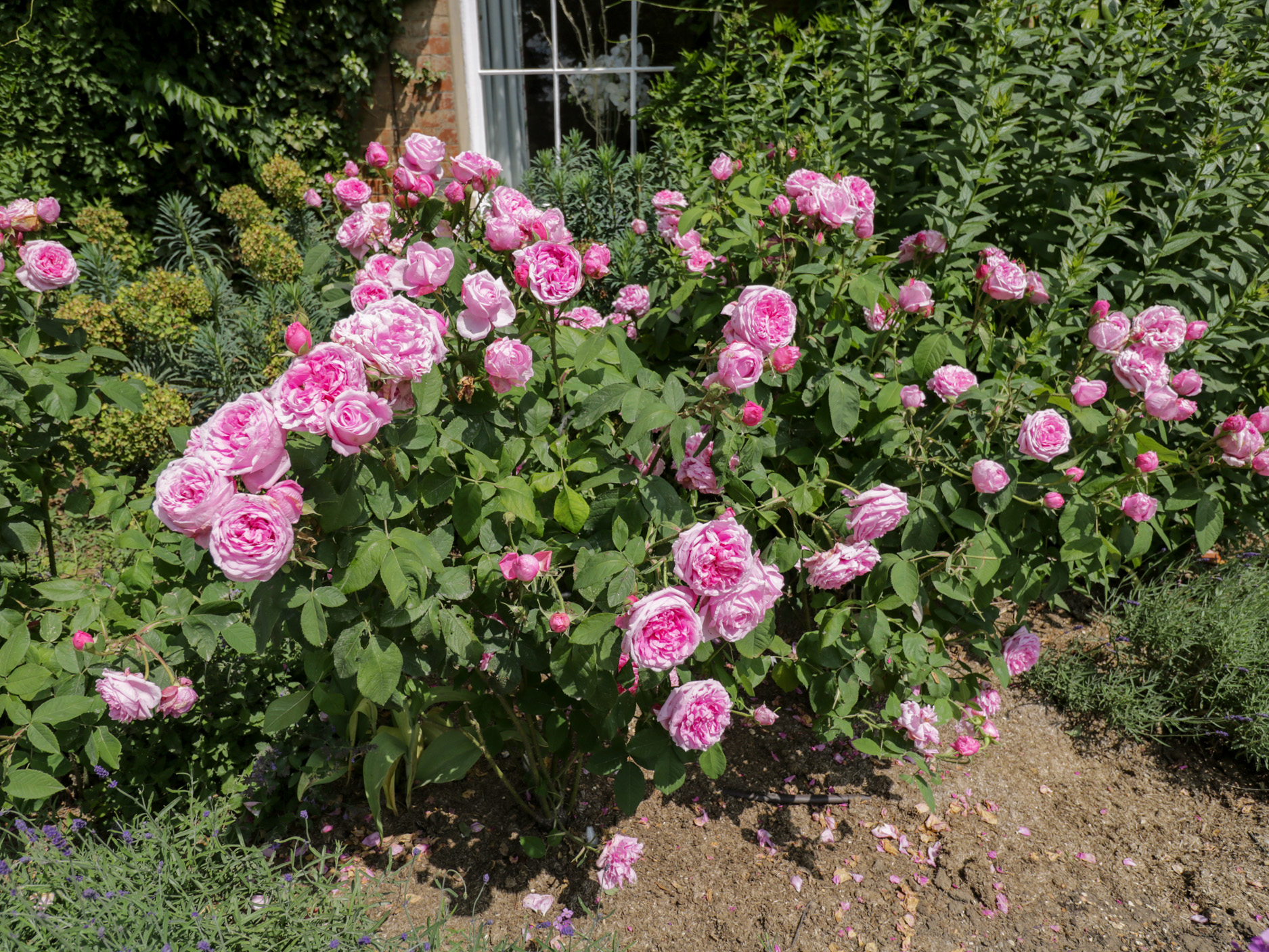 Property image 36 for SC1170886