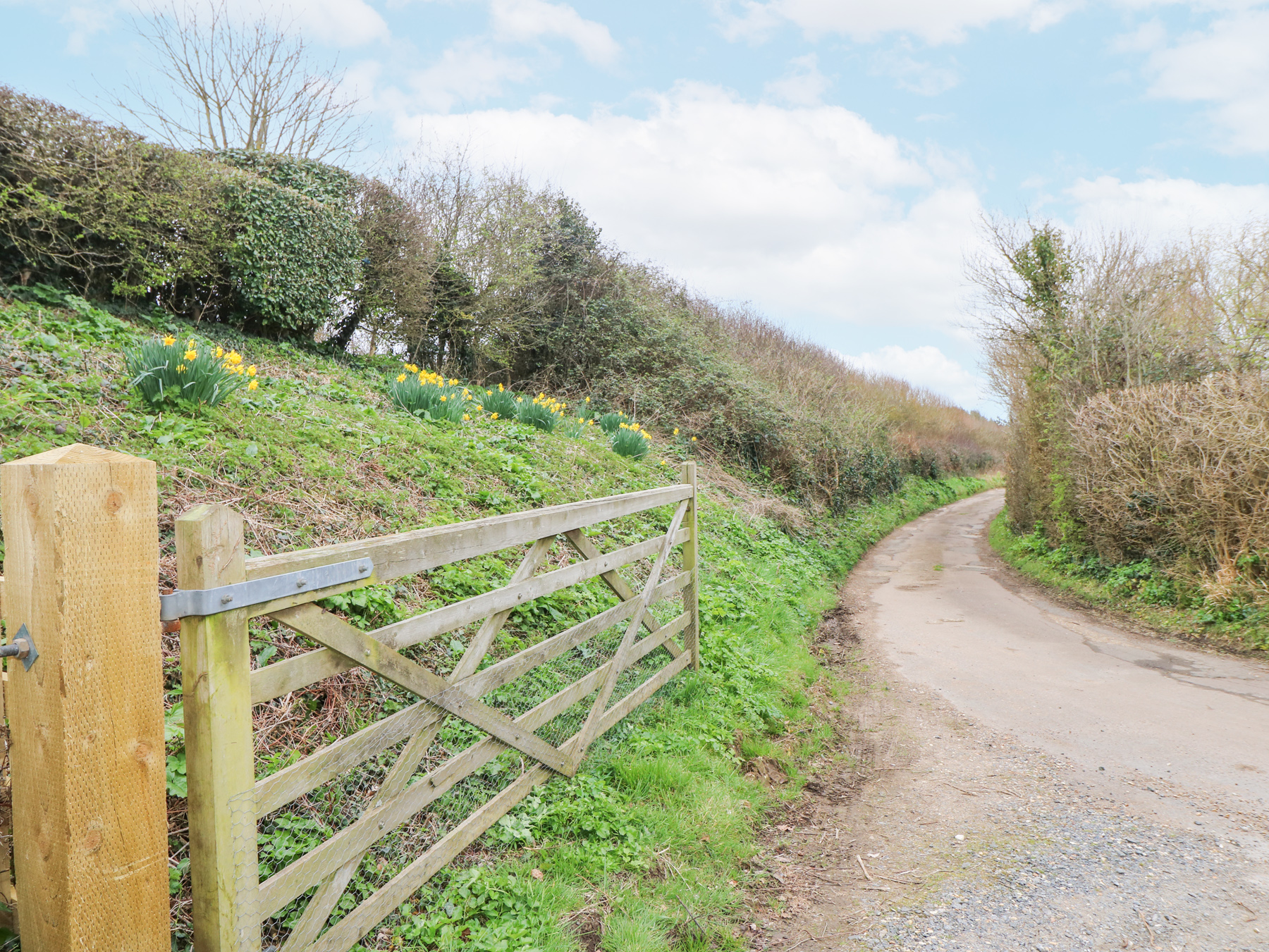 Property image 25 for SC1170979