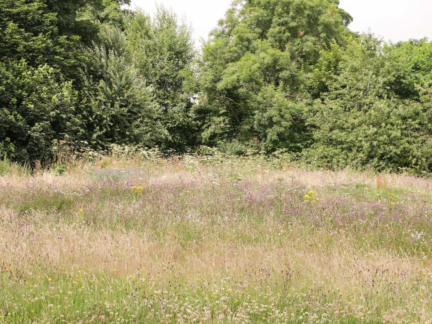 Property image 76 for SC1171081