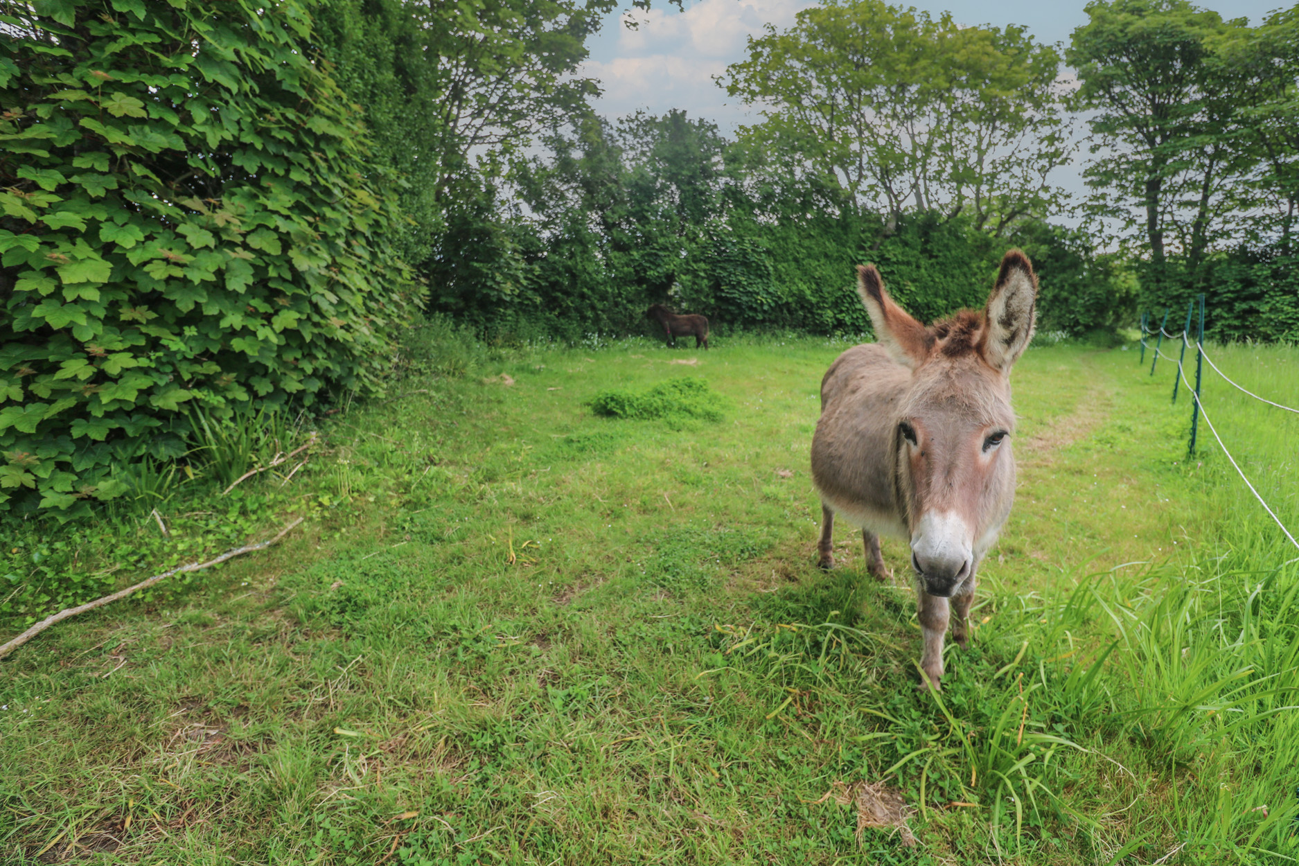 Property image 25 for SC1171177