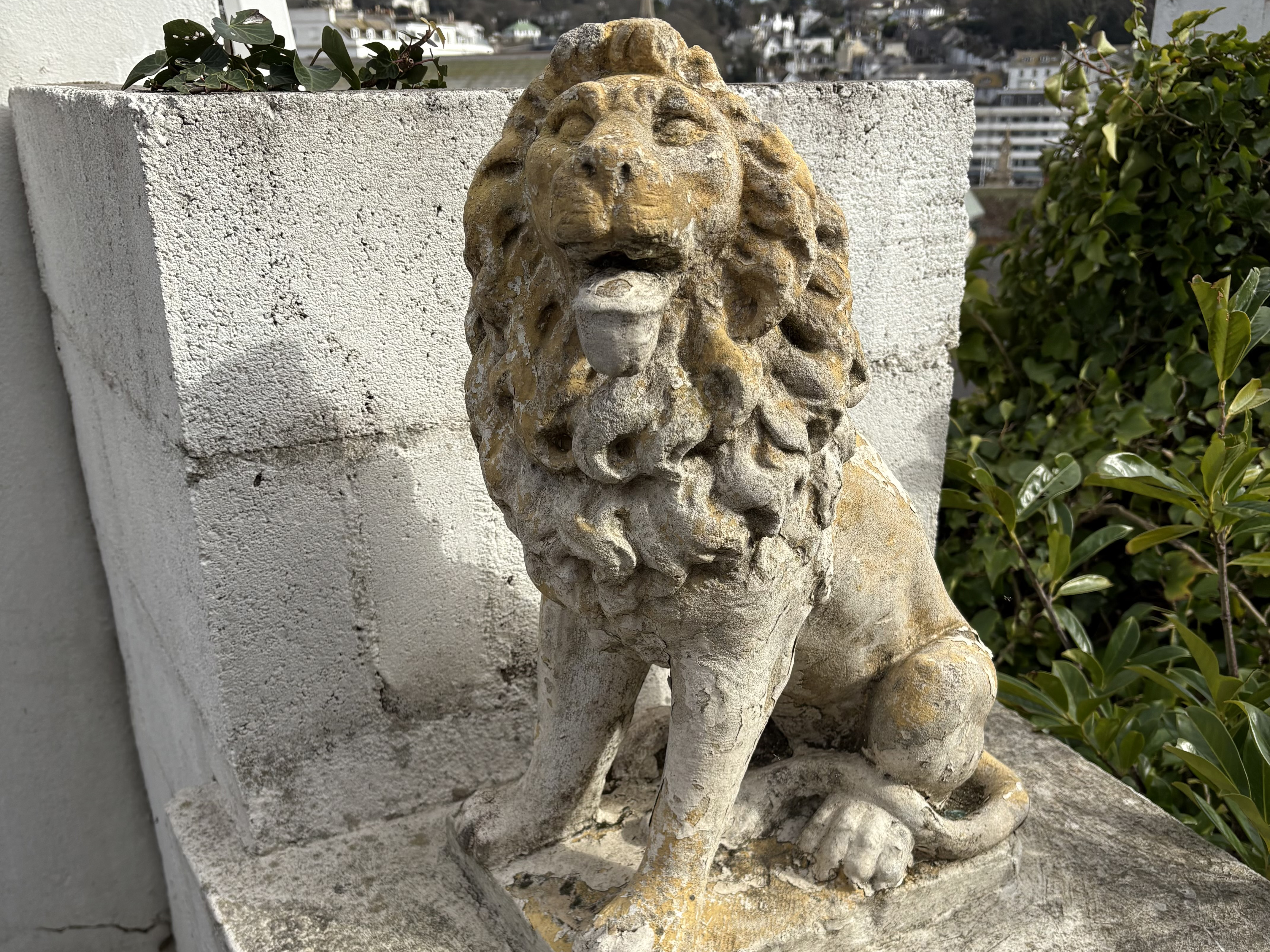 Property image 38 for SC1171207